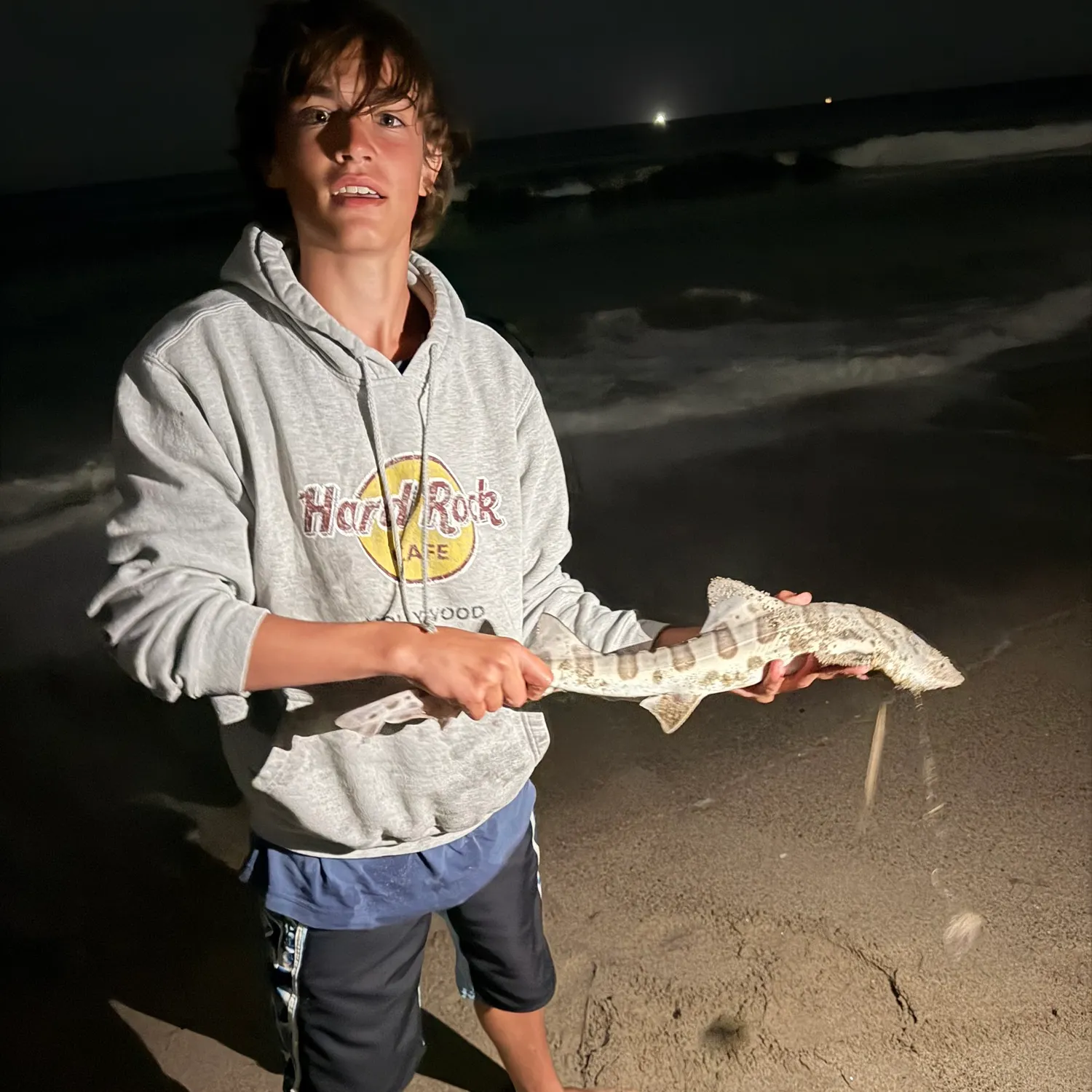 Leopard shark caught on Fishbrain