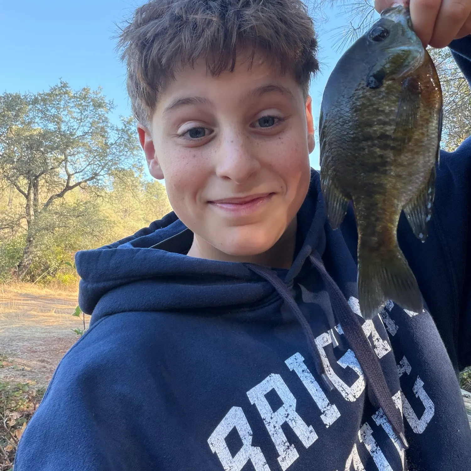 Bluegill caught on Fishbrain