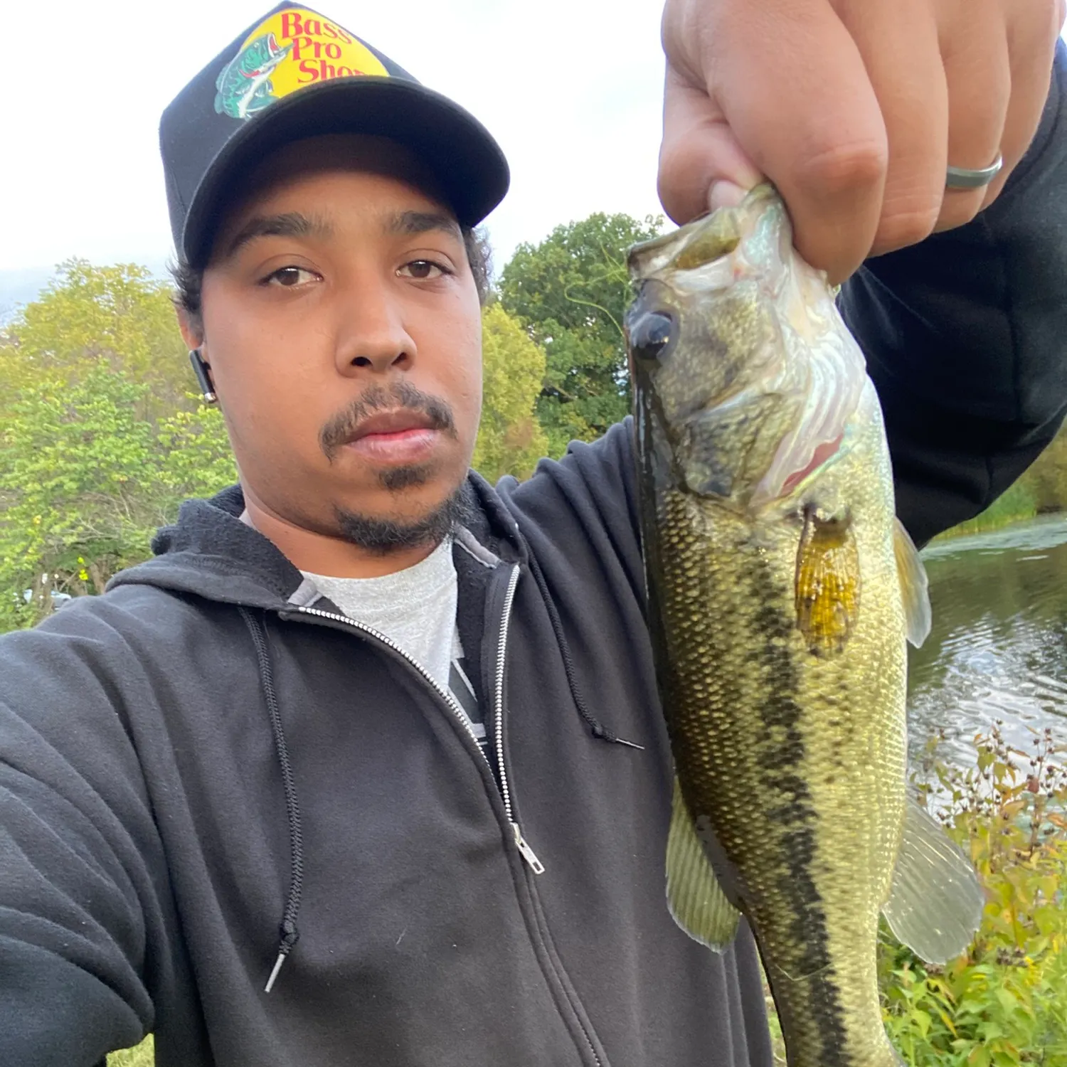 Largemouth bass caught on Fishbrain