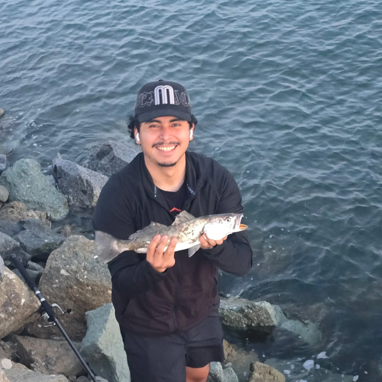 The most recent Stolzmann's weakfish catches on Fishbrain