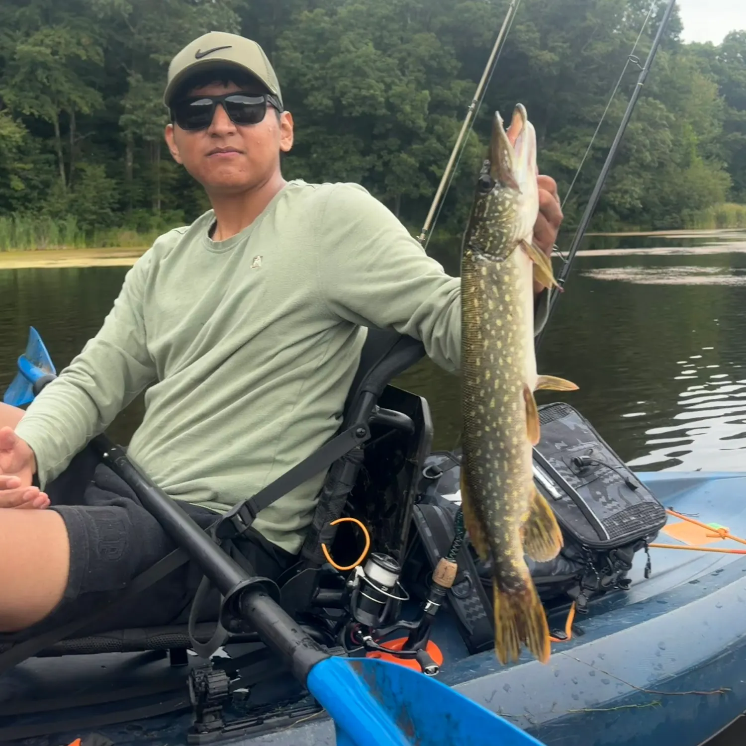 Northern pike caught on Fishbrain