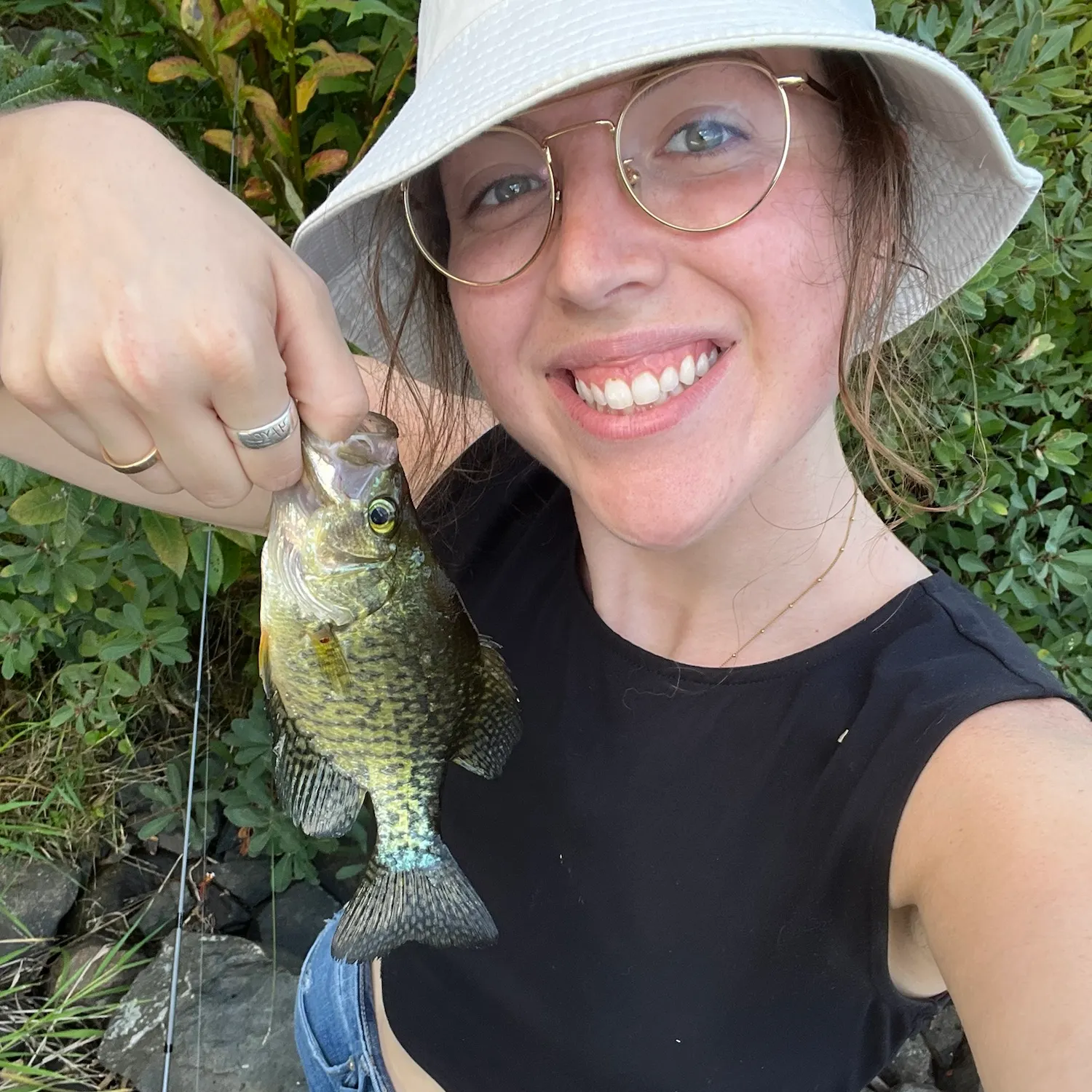 Black crappie caught on Fishbrain