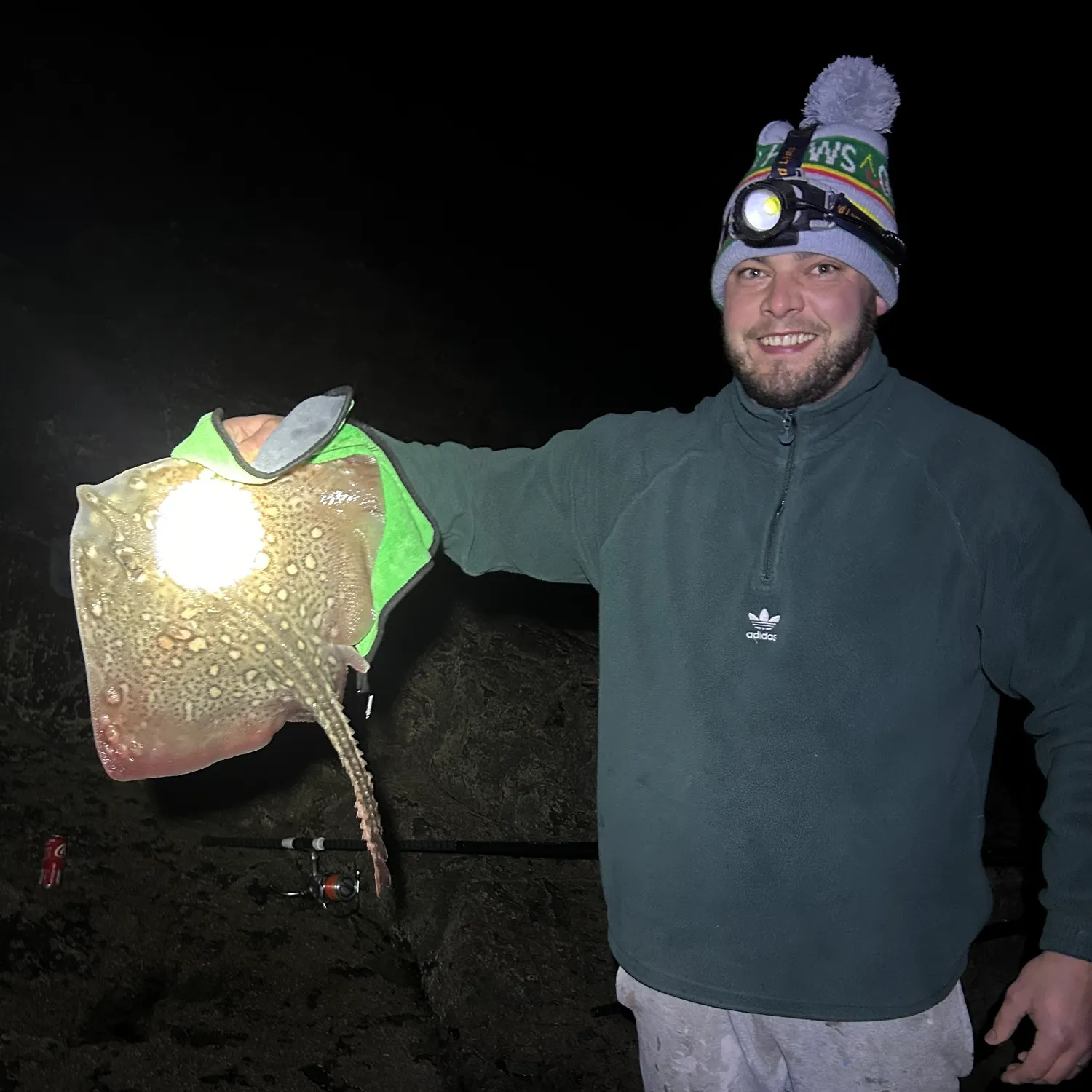 The most recent Thornback ray catches on Fishbrain