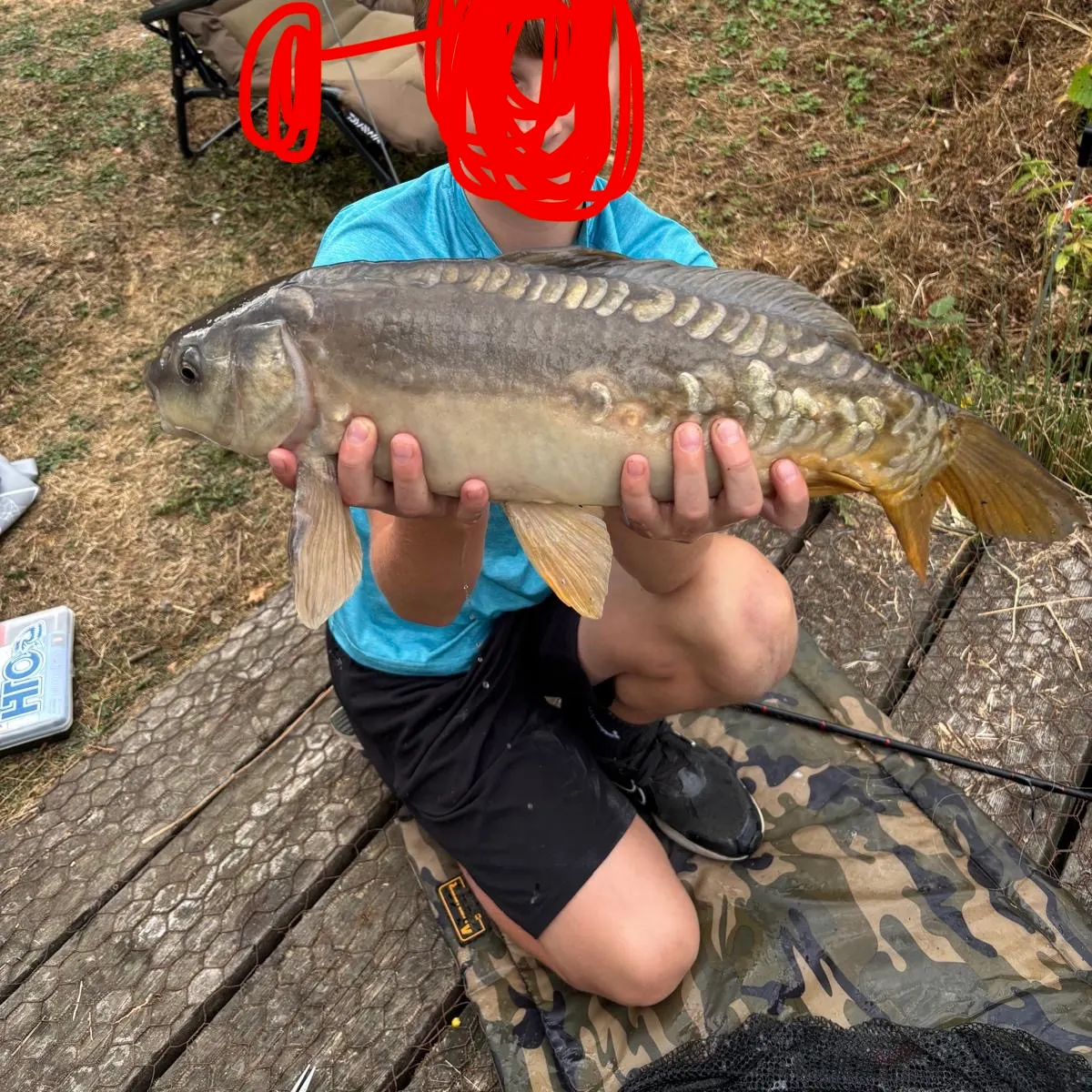 Mirror carp caught on Fishbrain