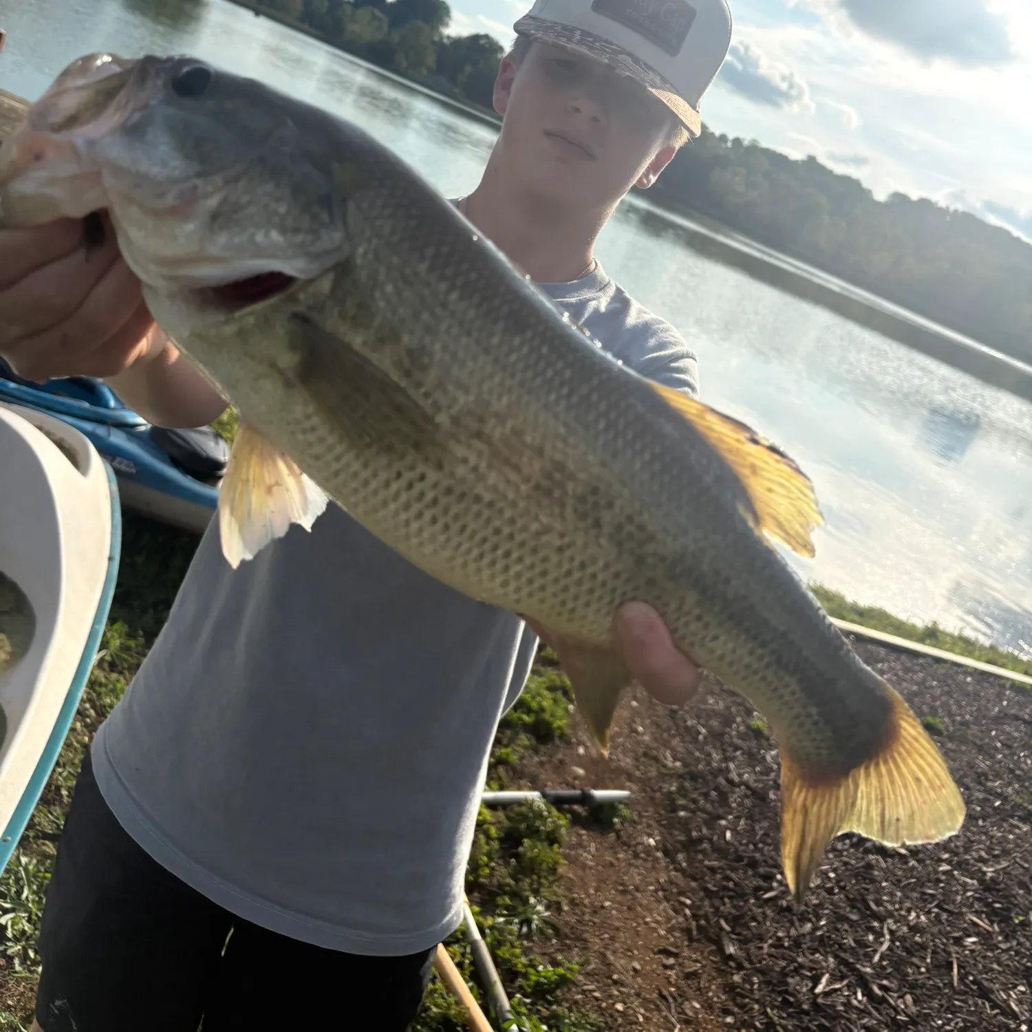 Largemouth bass caught on Fishbrain