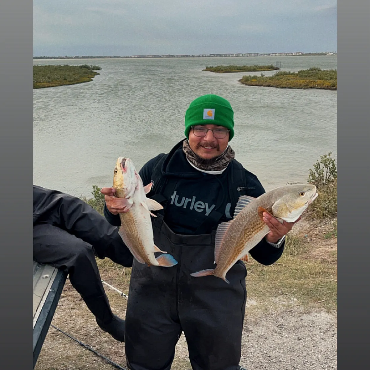 The most recent Red drum catches on Fishbrain