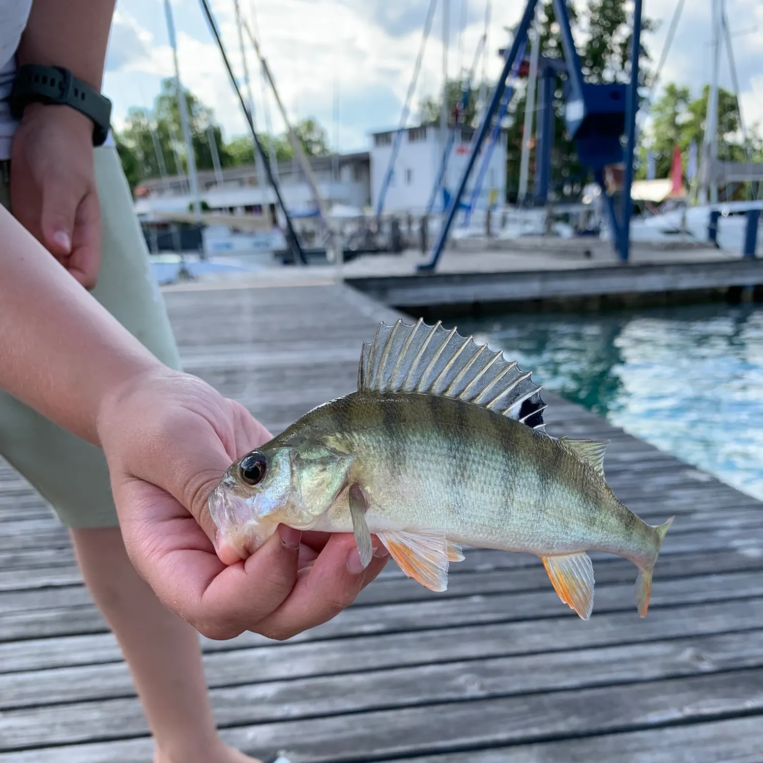 catch
