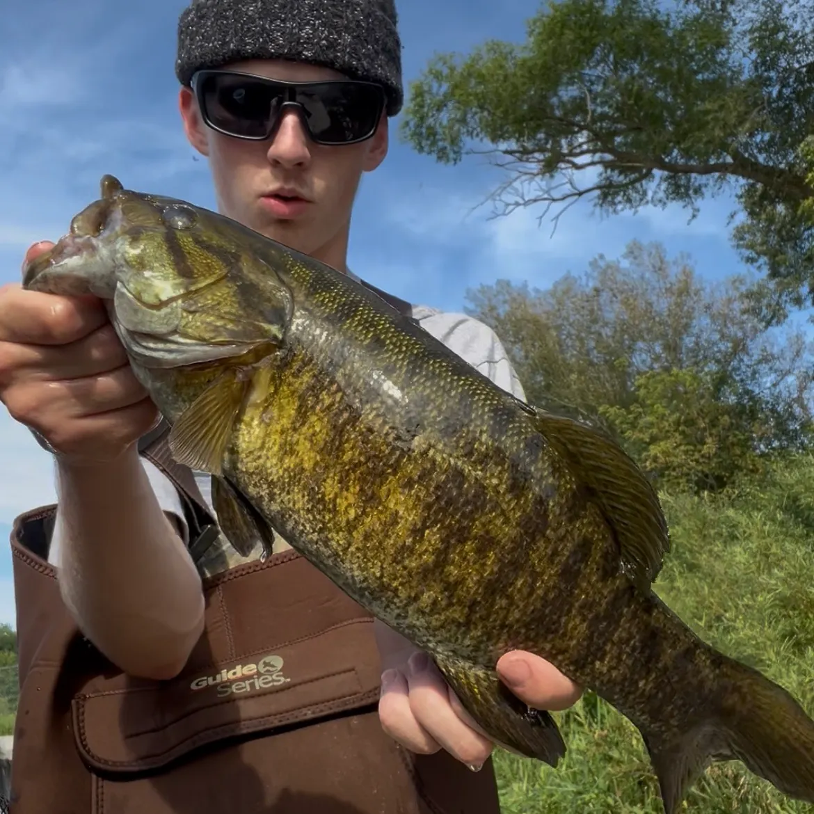 Smallmouth bass caught on Fishbrain