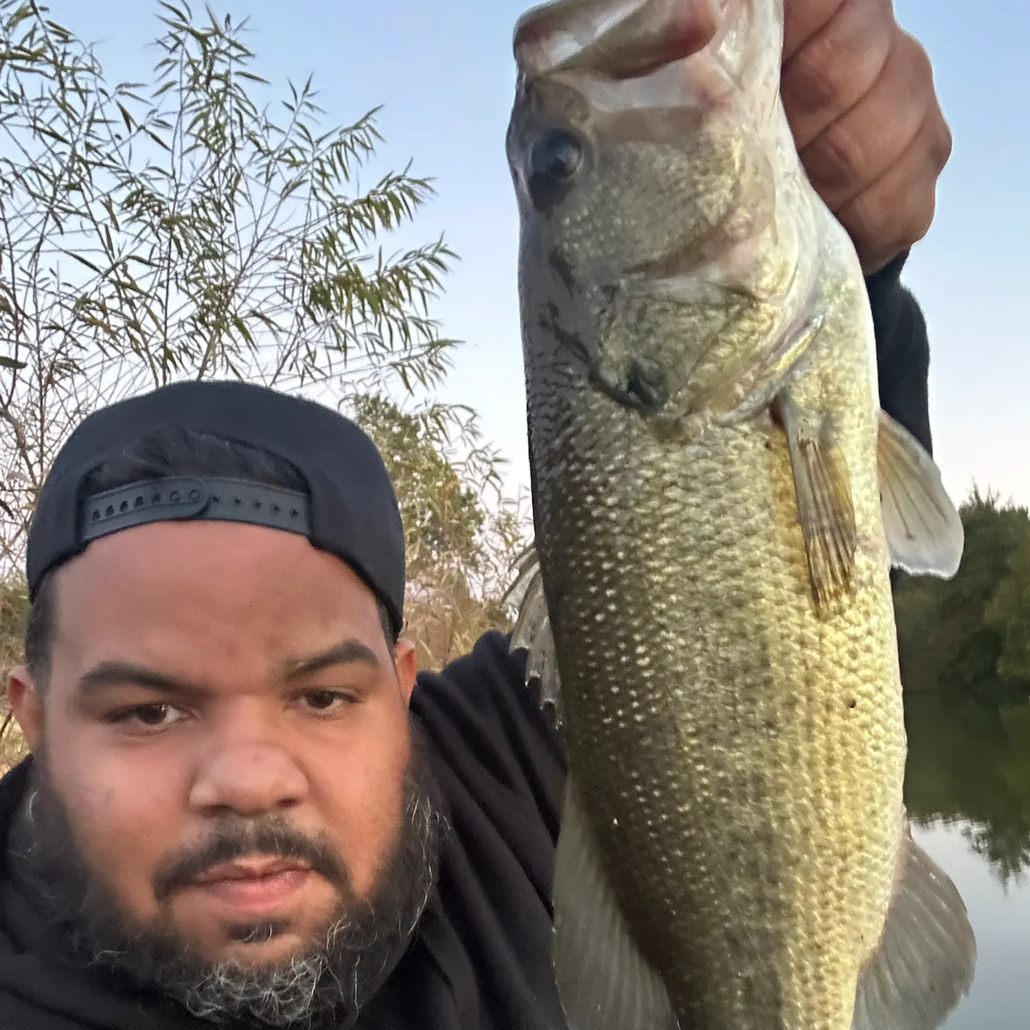 Largemouth bass caught on Fishbrain
