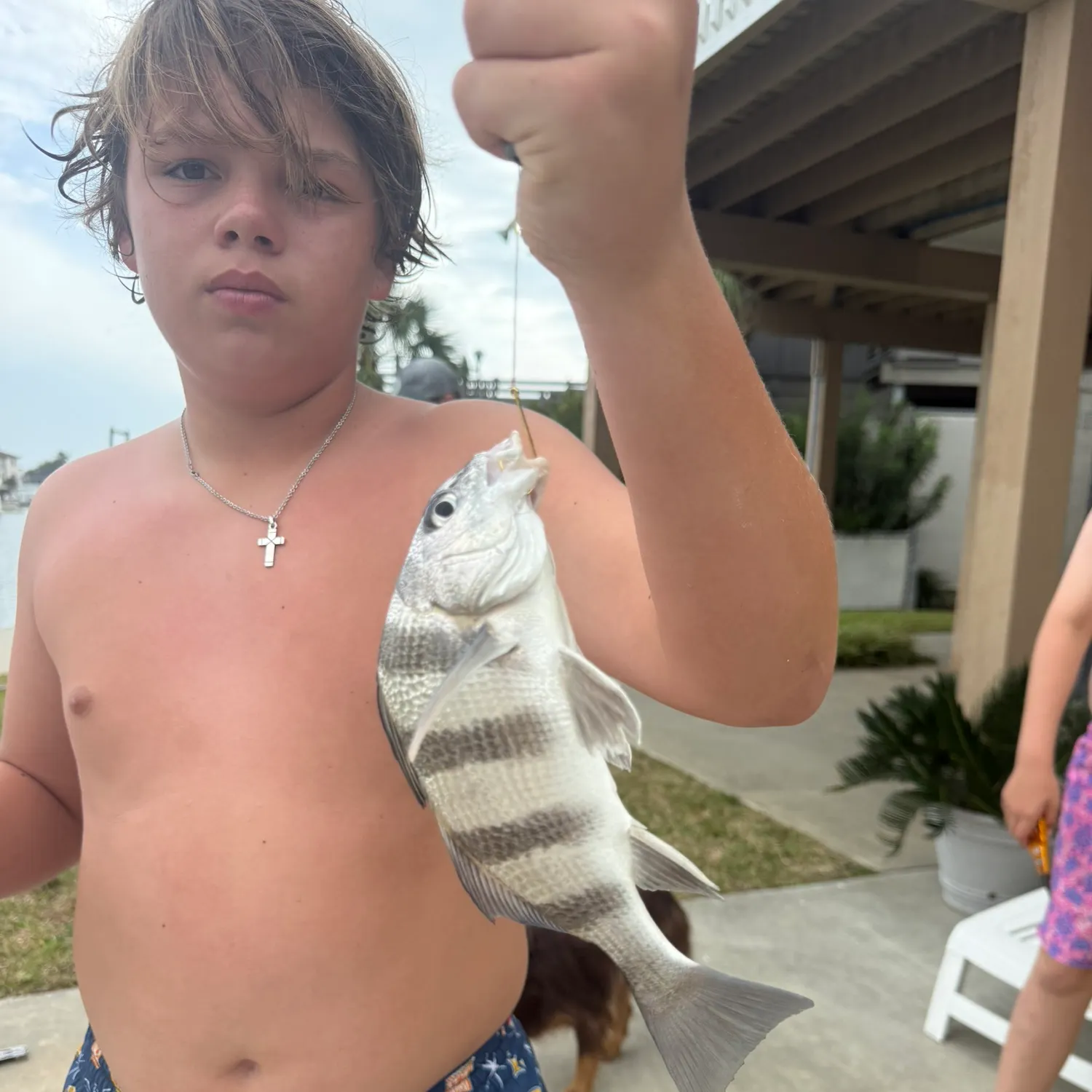 The most recent Black drum catches on Fishbrain