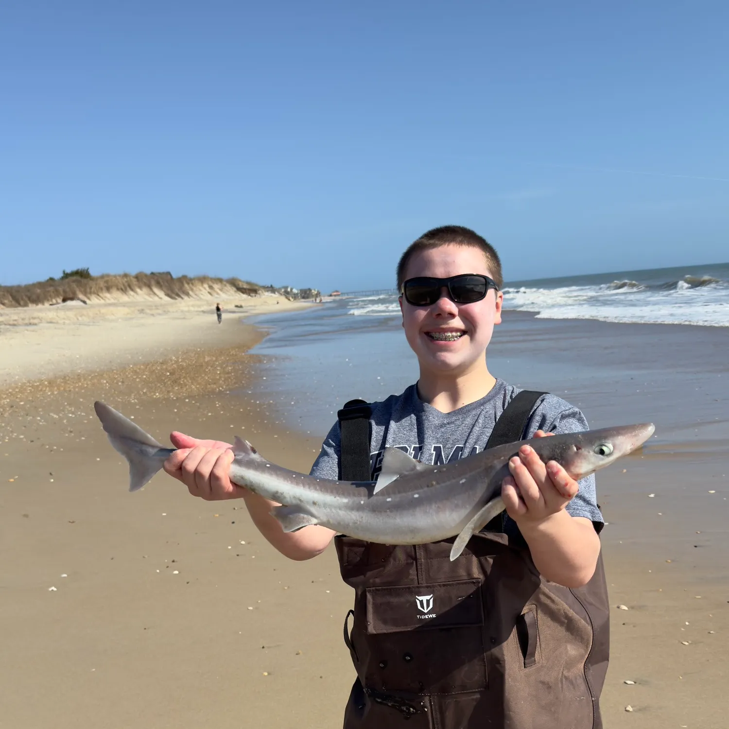 The most recent Piked dogfish catches on Fishbrain