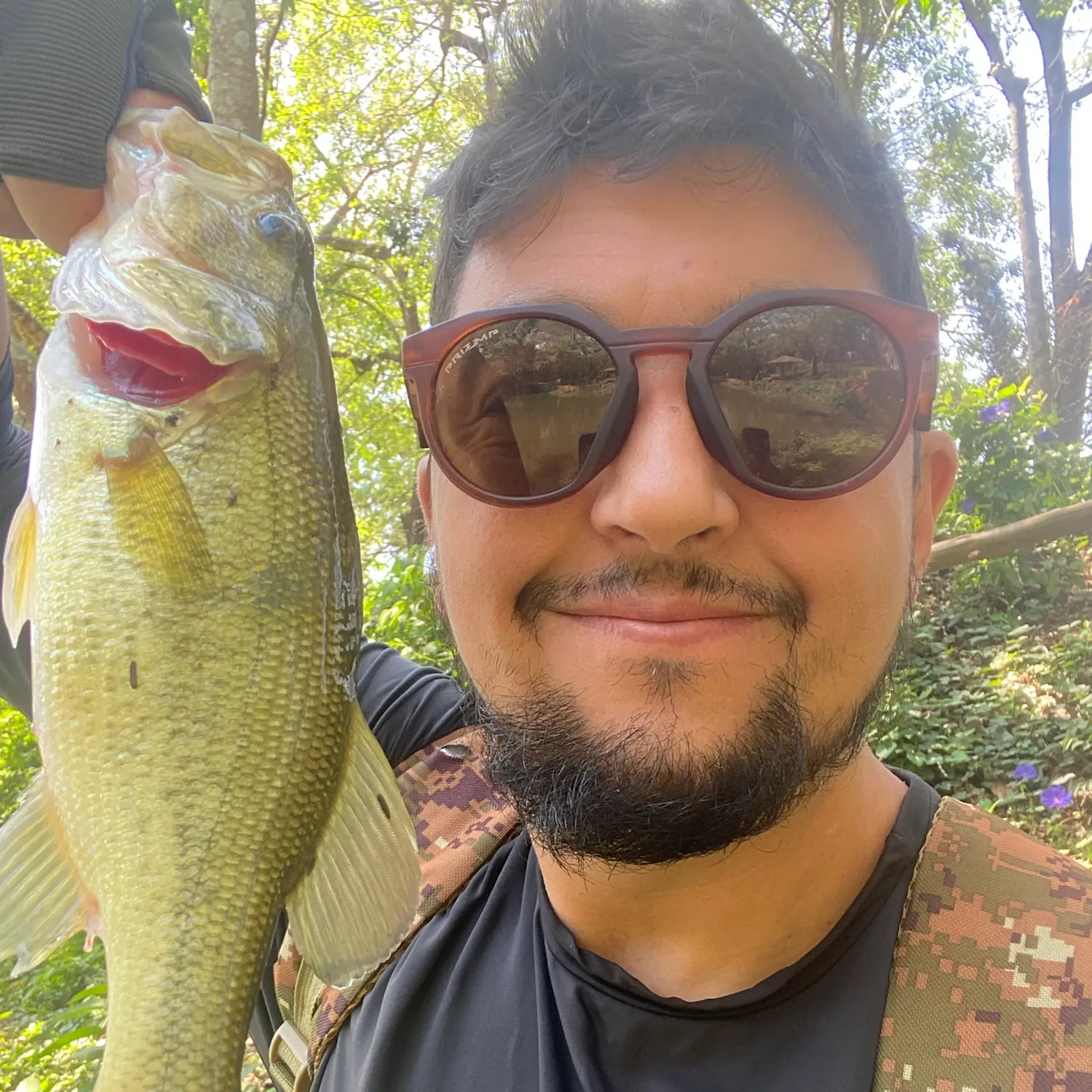 Largemouth bass caught on Fishbrain