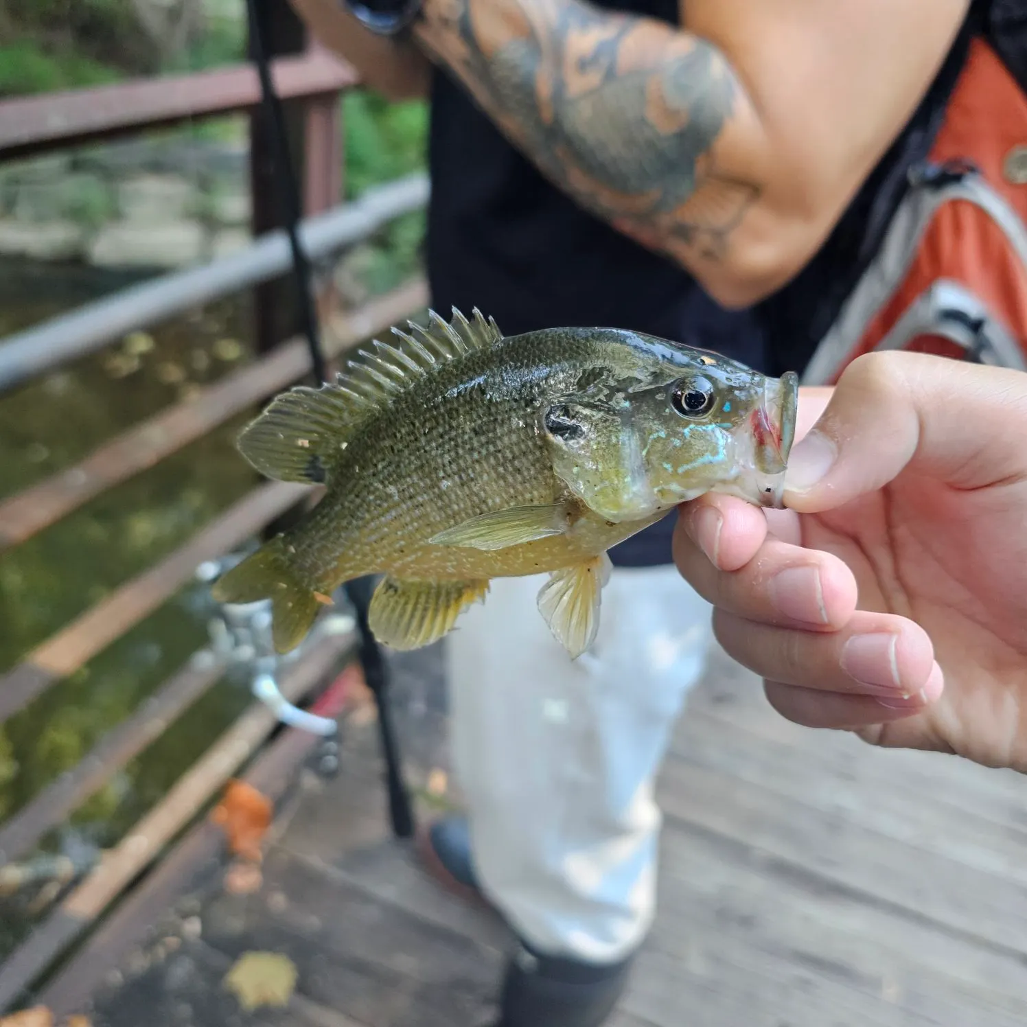 catch