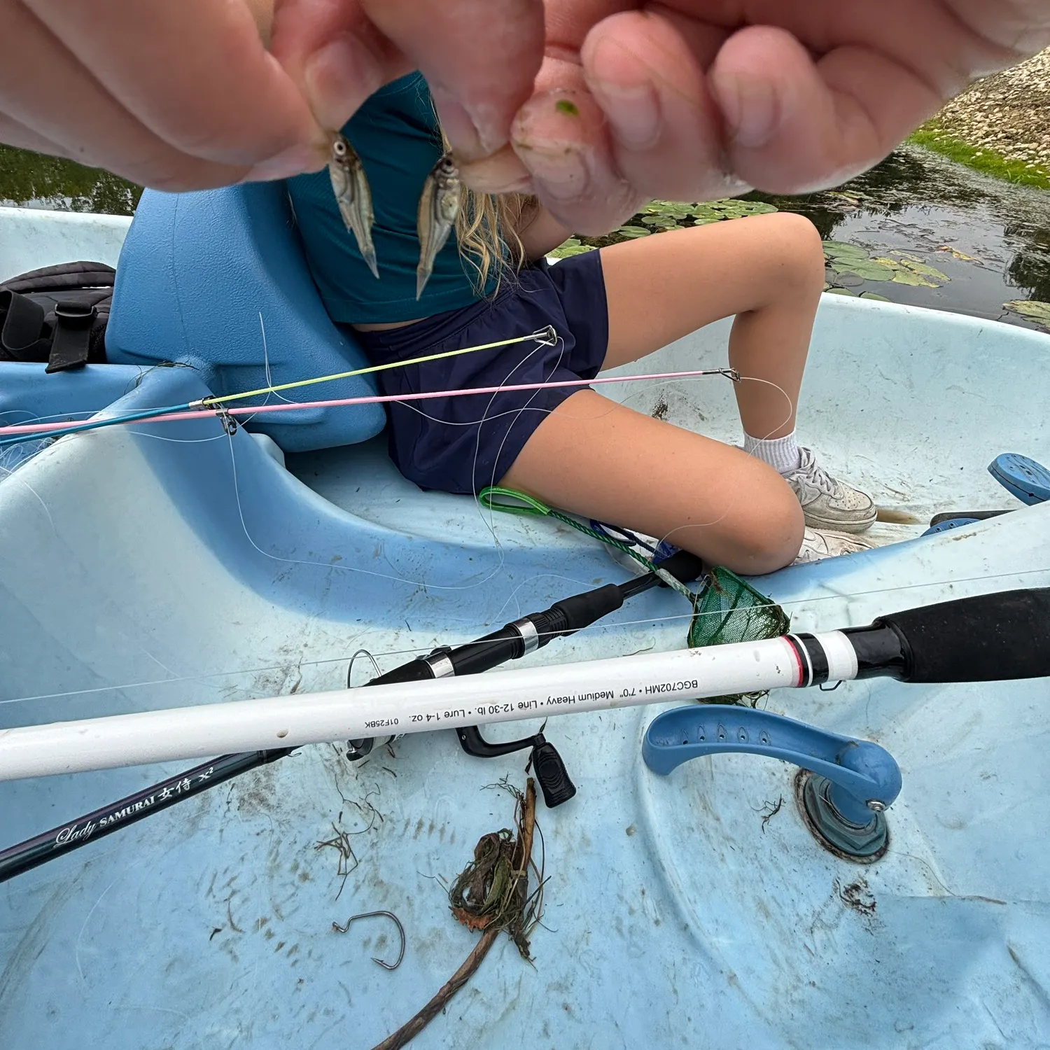 The most recent Olympic mudminnow catches on Fishbrain