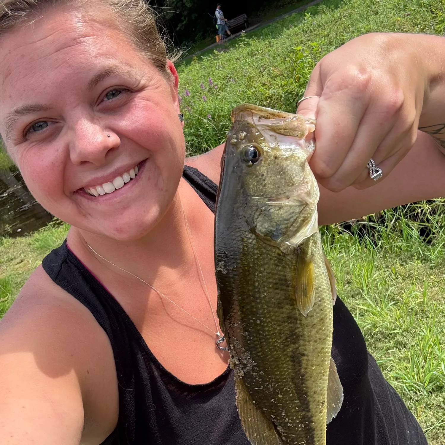 Largemouth bass caught on Fishbrain