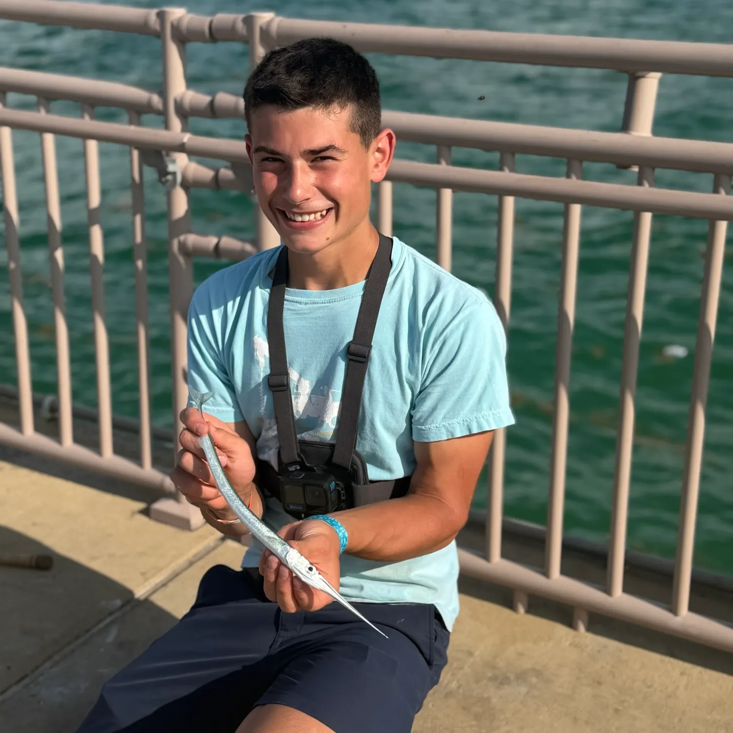 The most recent Redfin needlefish catches on Fishbrain