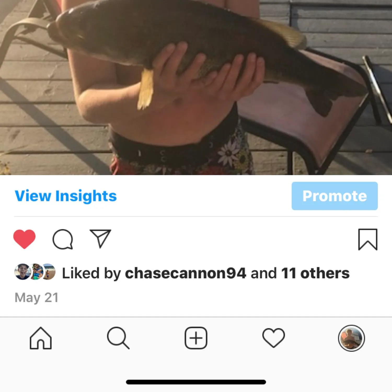 recently logged catches