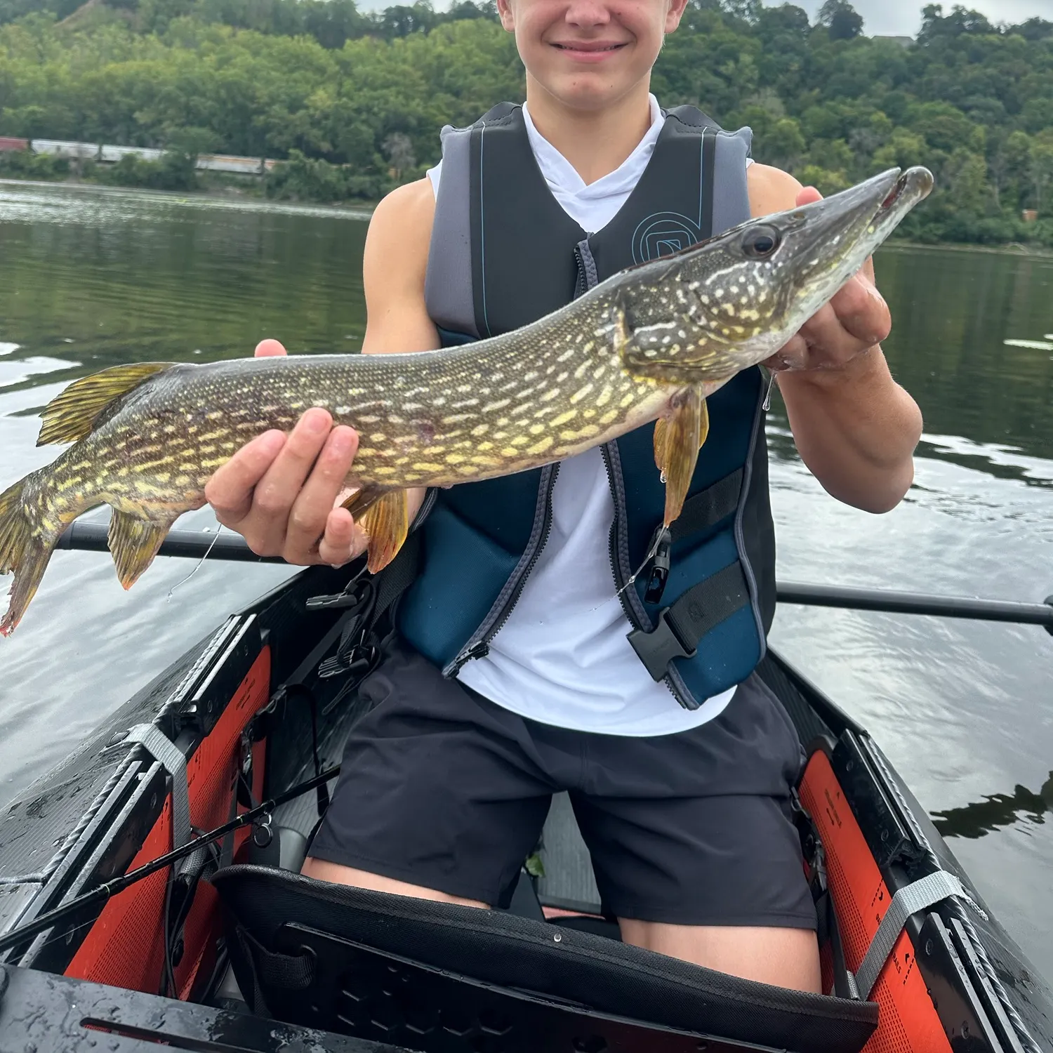 Northern pike caught on Fishbrain