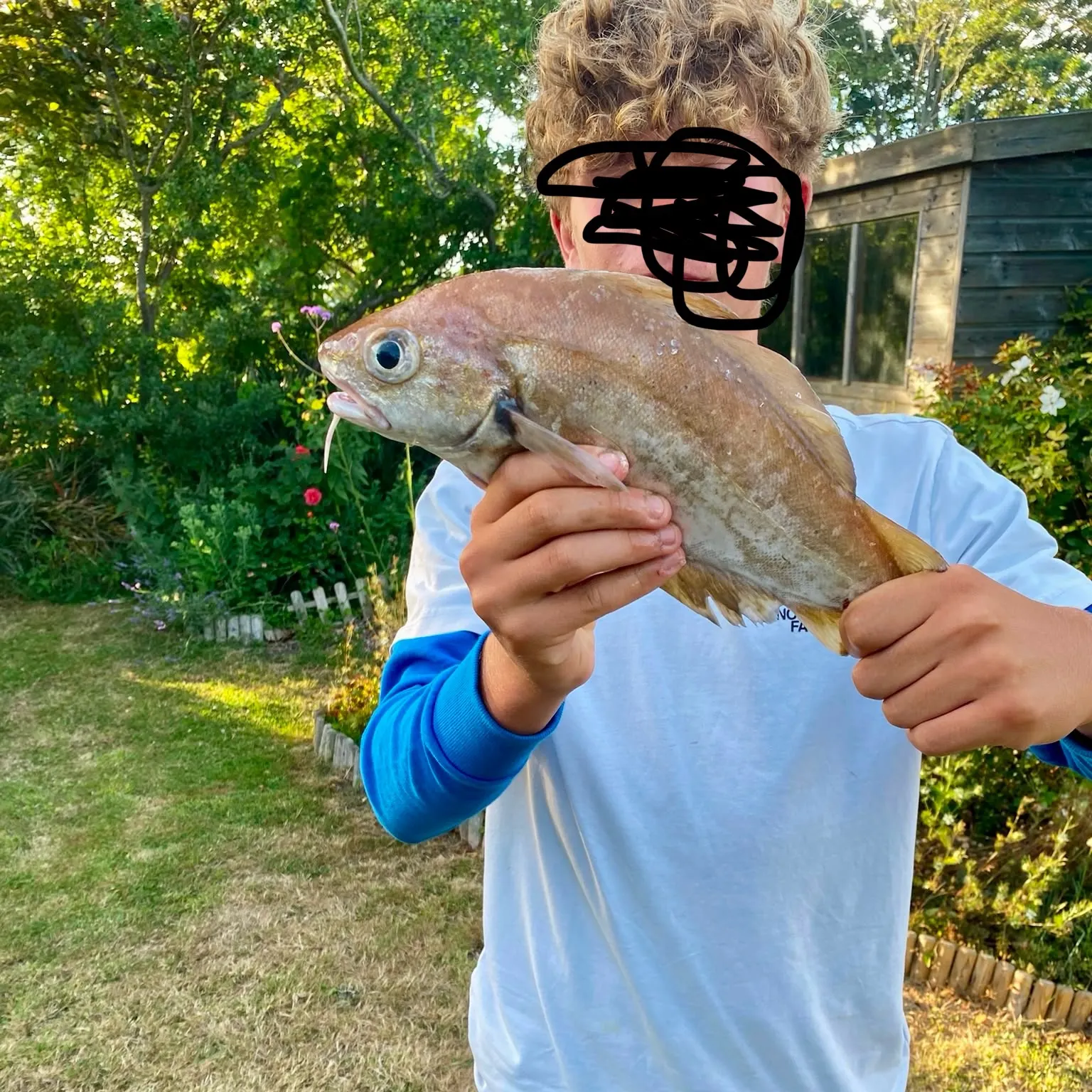 The most recent Pouting catches on Fishbrain