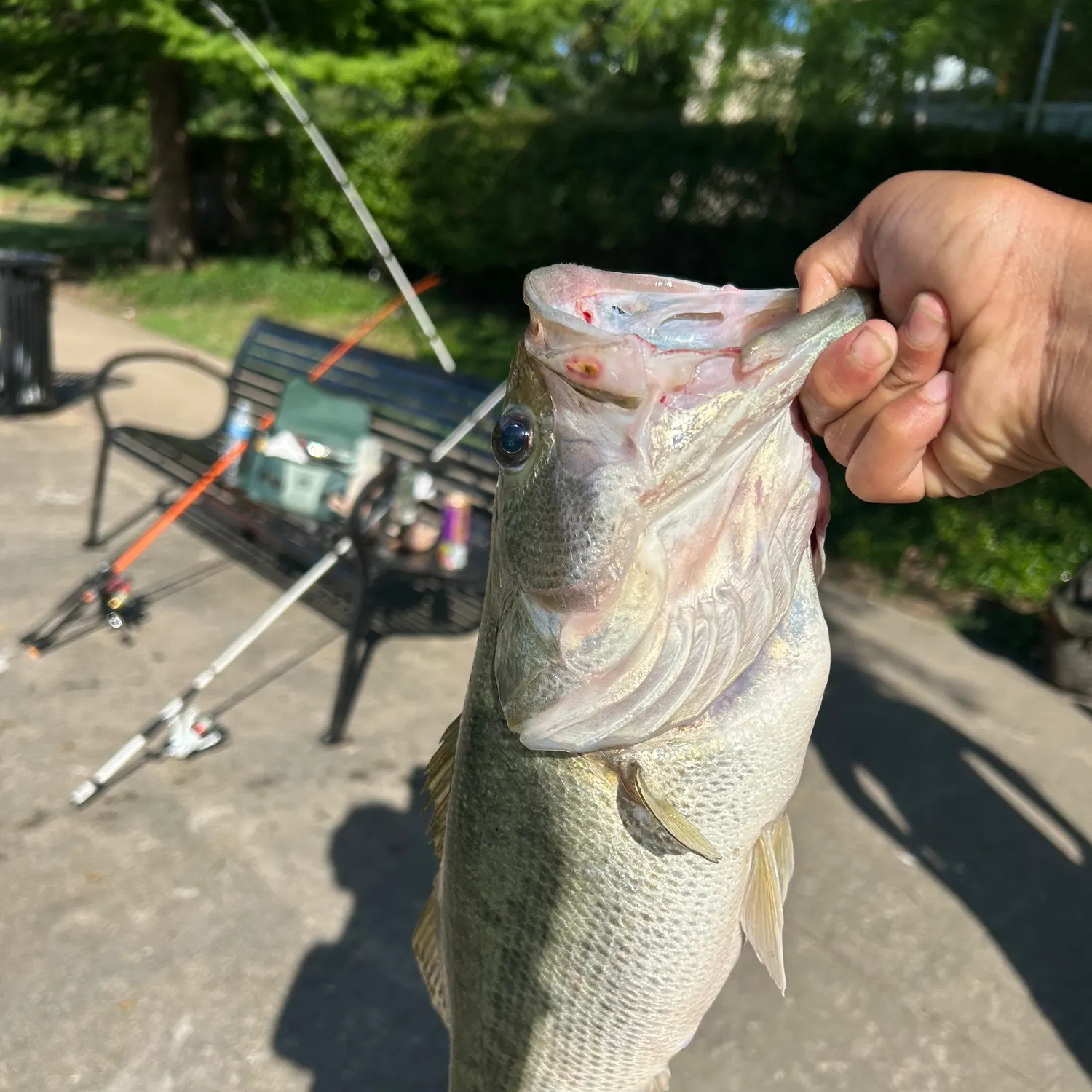catch