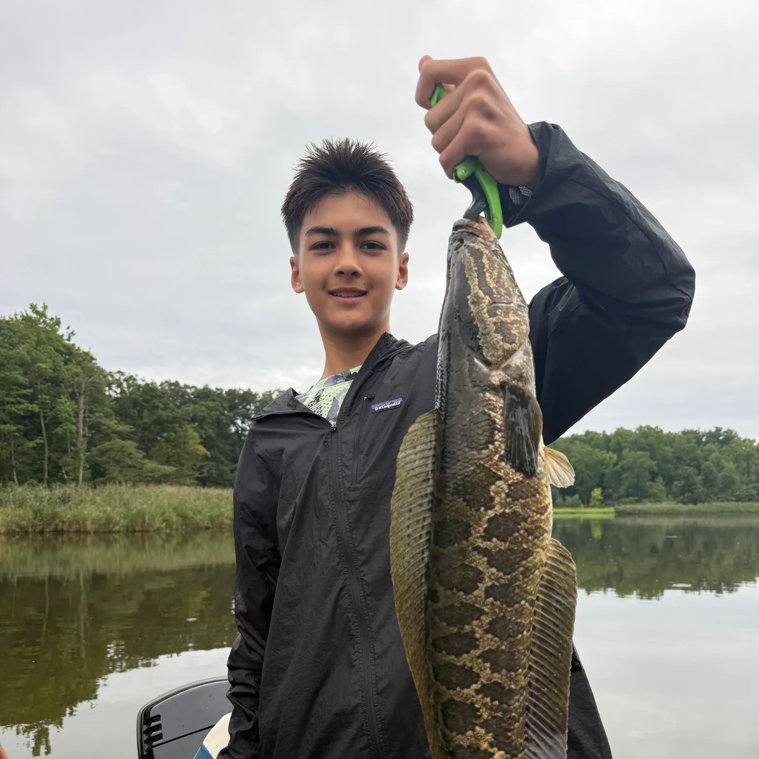 Northern snakehead caught on Fishbrain