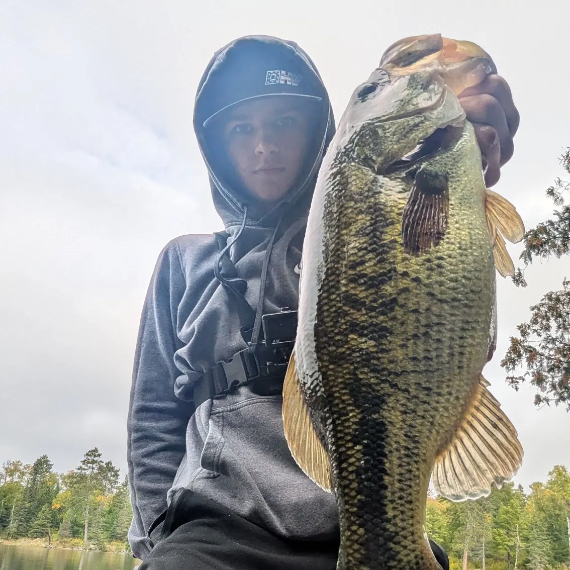 Largemouth bass caught on Fishbrain