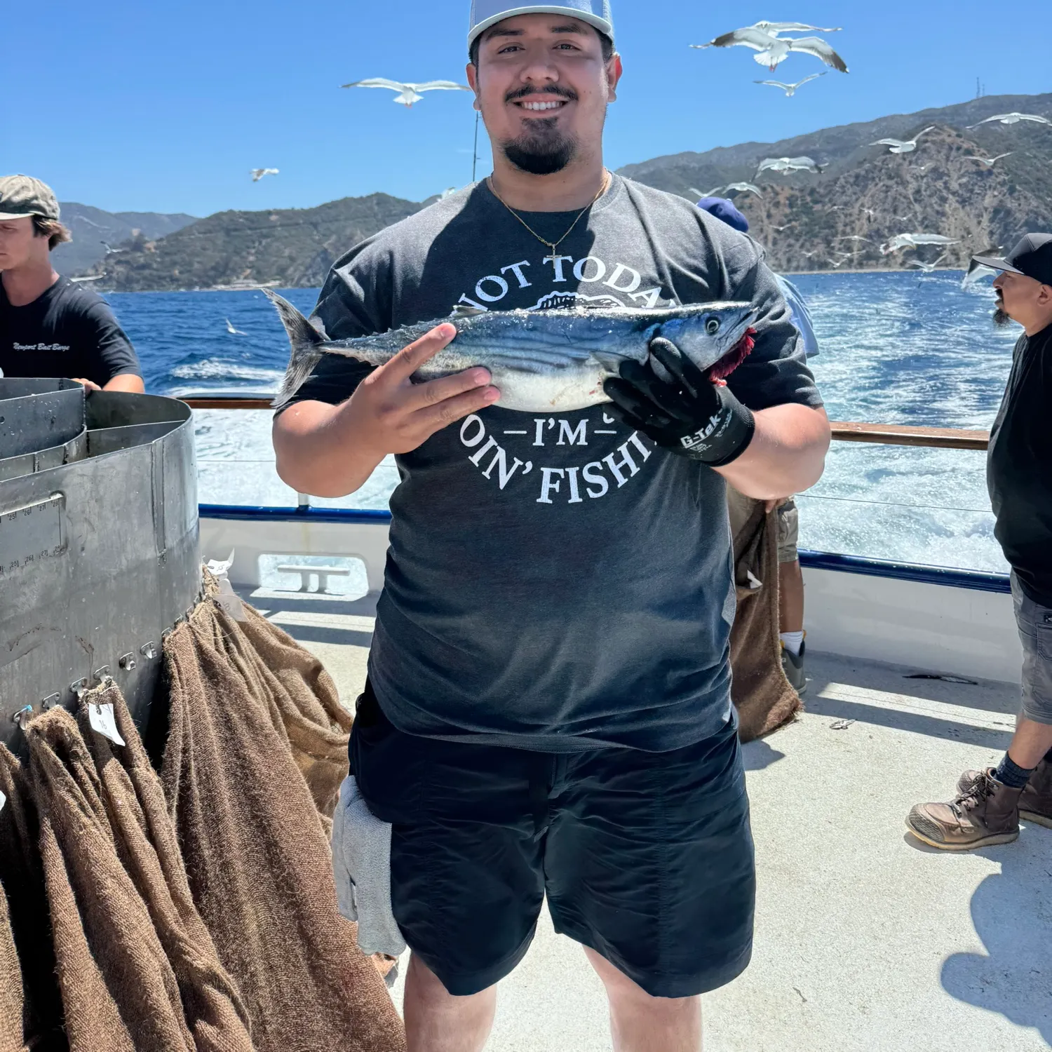 The most recent Pacific bonito catches on Fishbrain