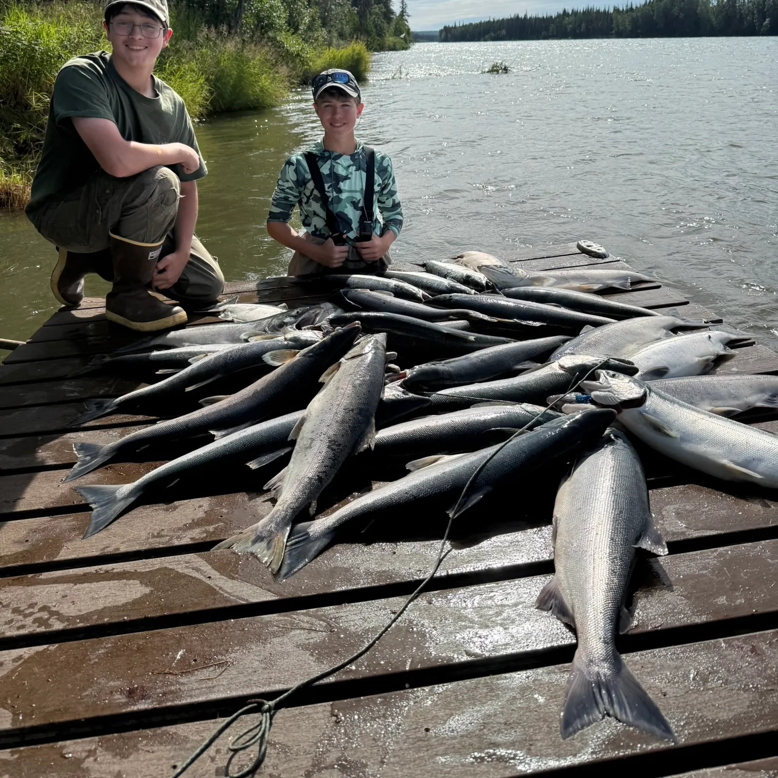 The most recent Sockeye salmon catches on Fishbrain