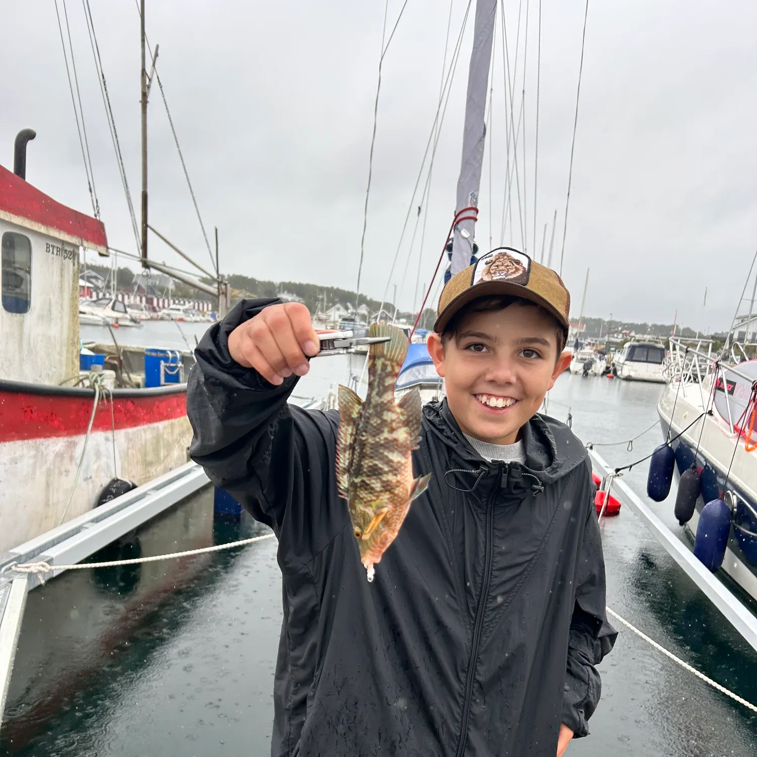 Corkwing wrasse caught on Fishbrain