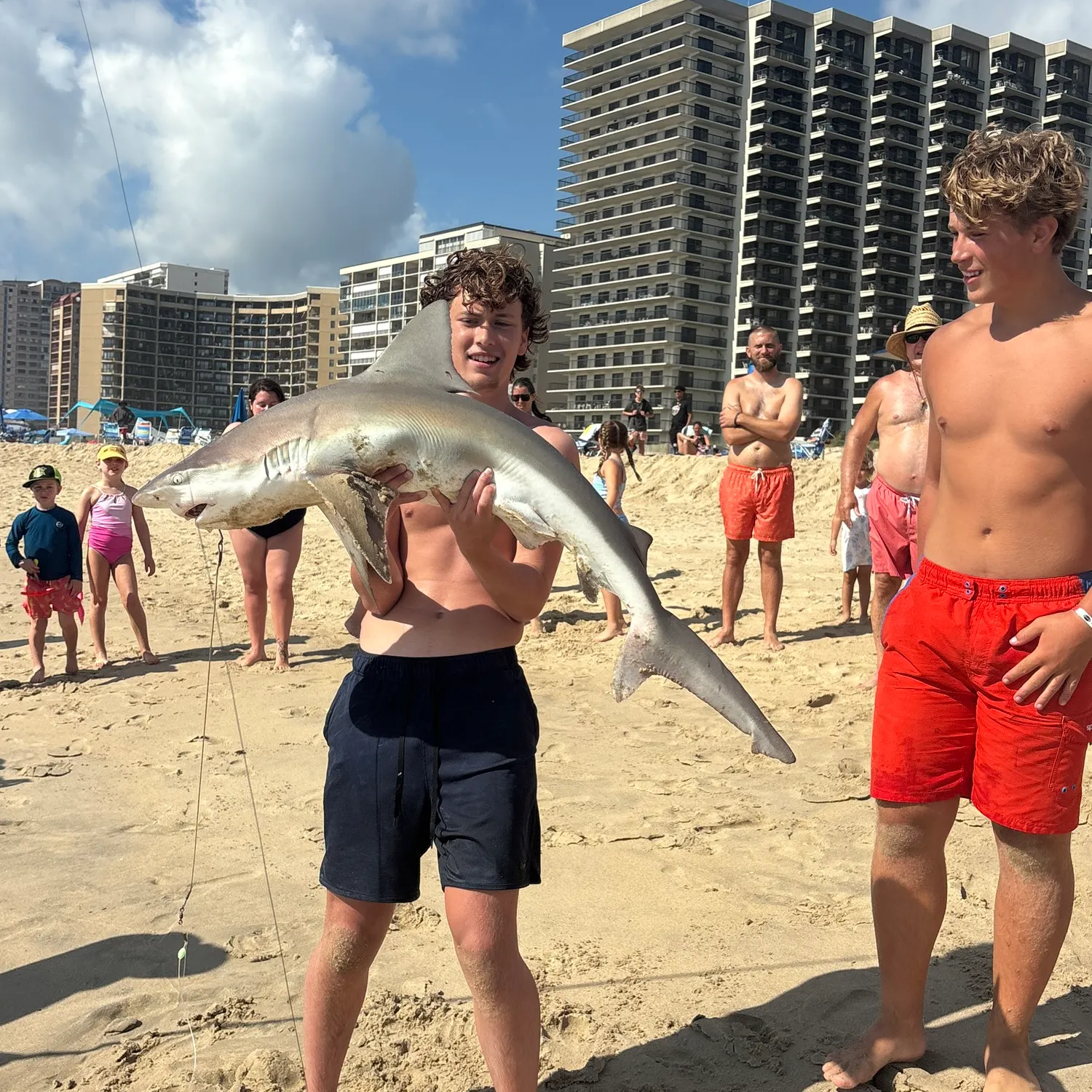 The most recent Sandbar shark catches on Fishbrain