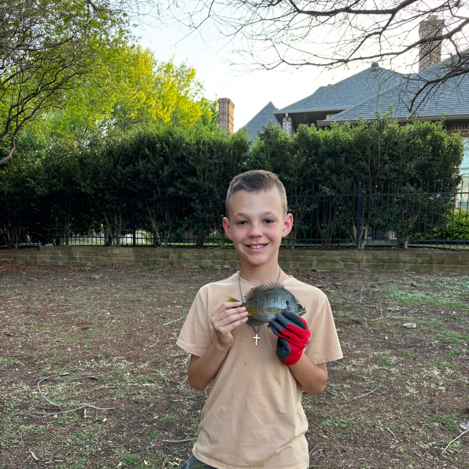 The most recent Blue tilapia catches on Fishbrain