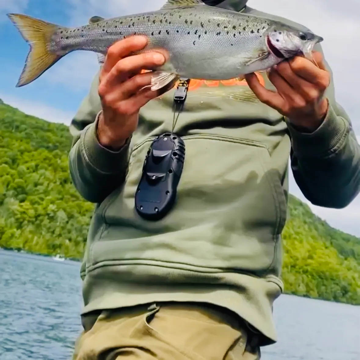 The most recent Landlocked atlantic salmon catches on Fishbrain