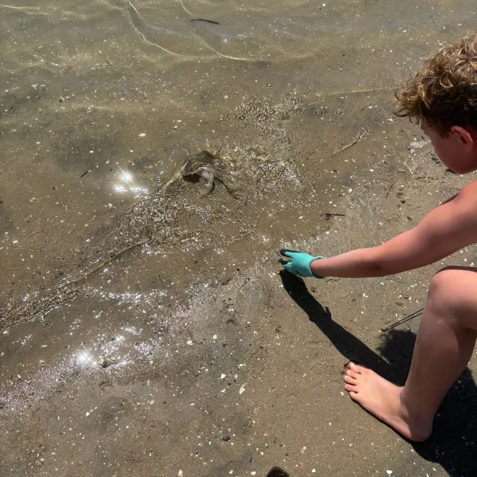 The most recent Haller's round ray catches on Fishbrain