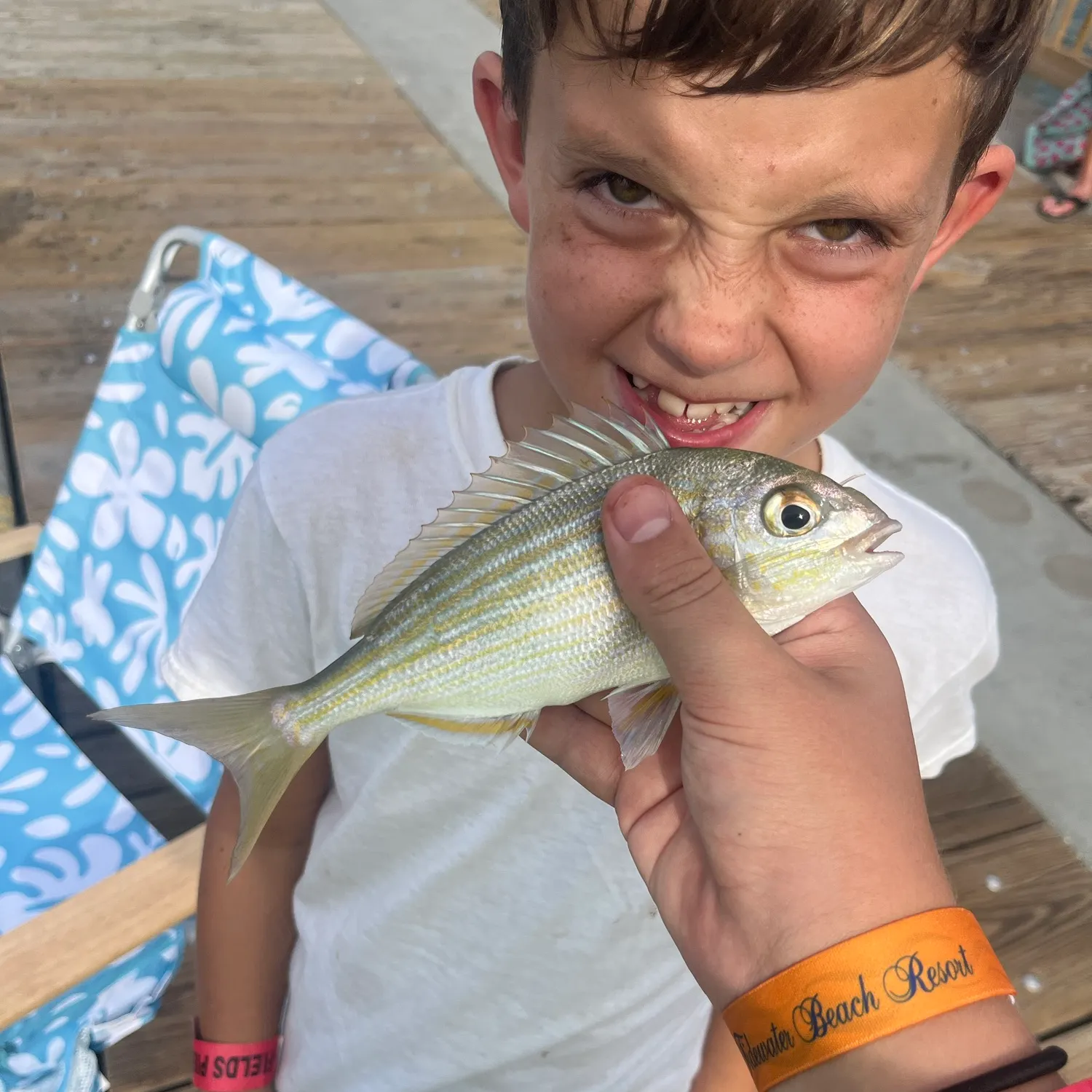 Pinfish caught on Fishbrain