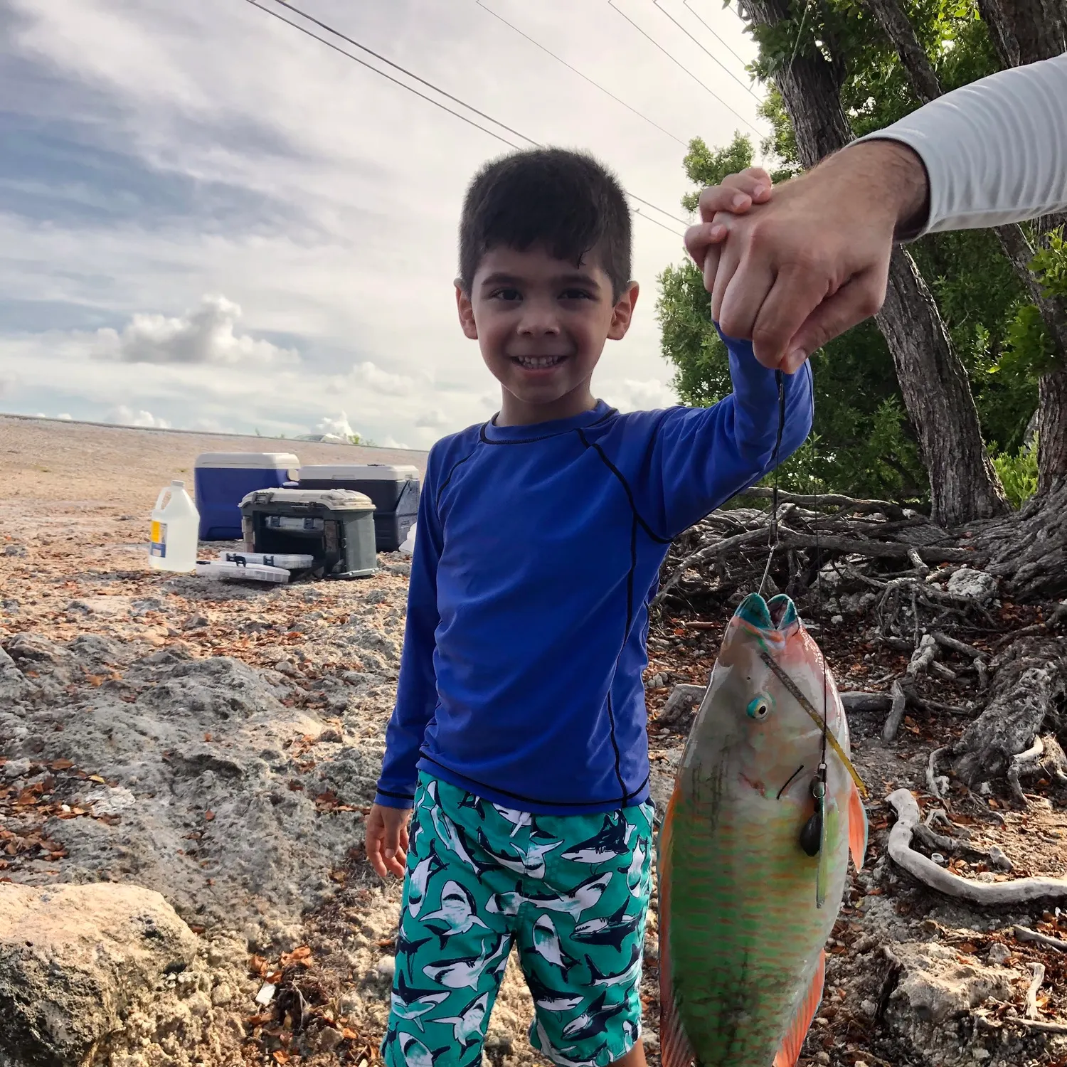 The most popular recent Rainbow parrotfish catch on Fishbrain