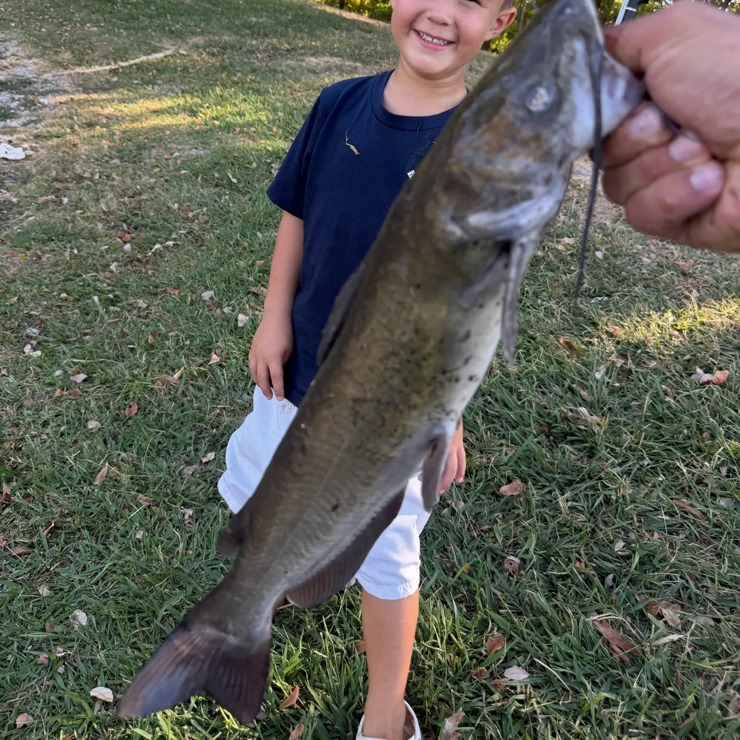 Channel catfish caught on Fishbrain