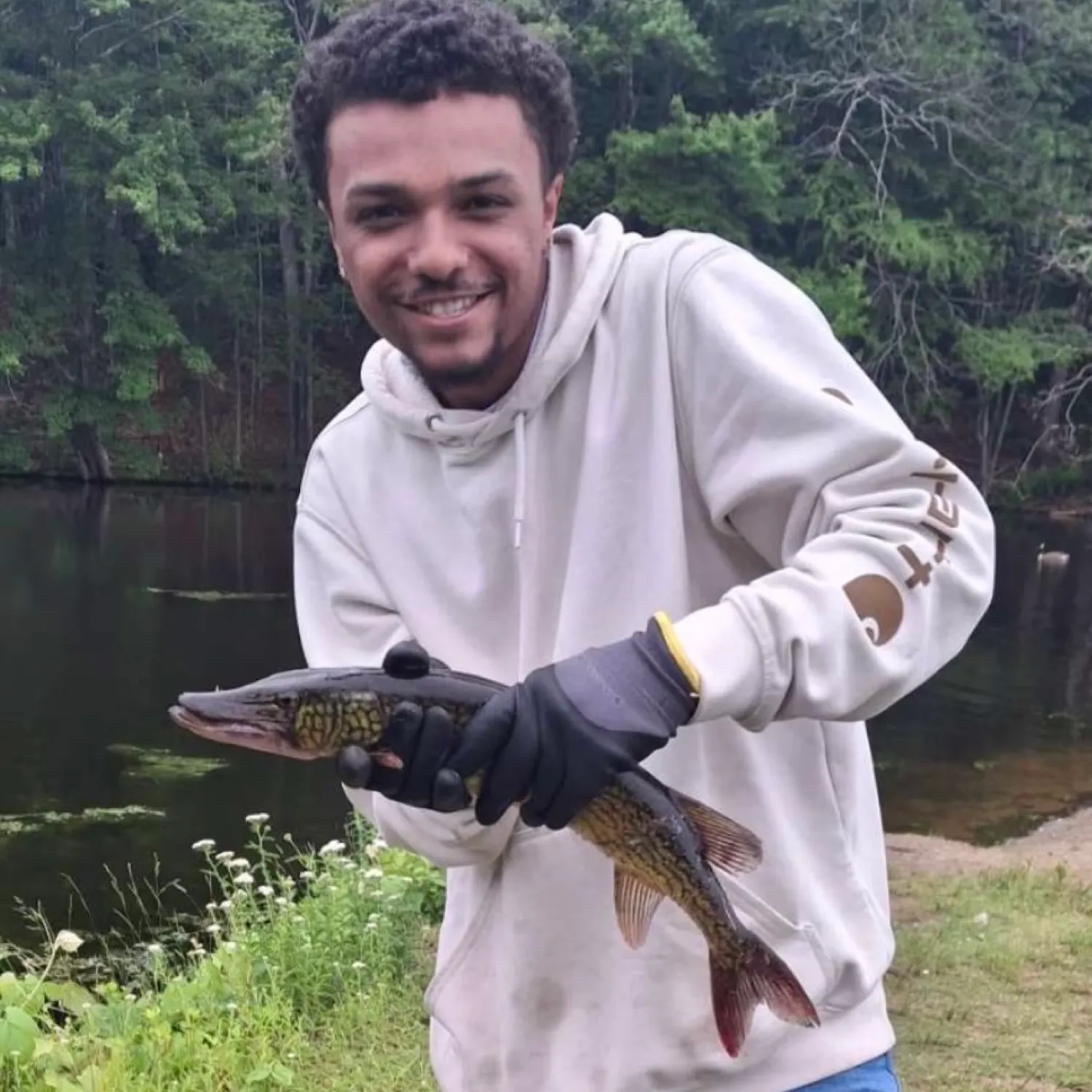 The most recent Redfin pickerel catches on Fishbrain