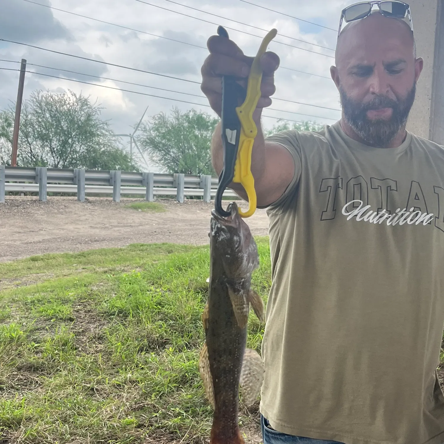 The most recent Fat Sleeper catches on Fishbrain
