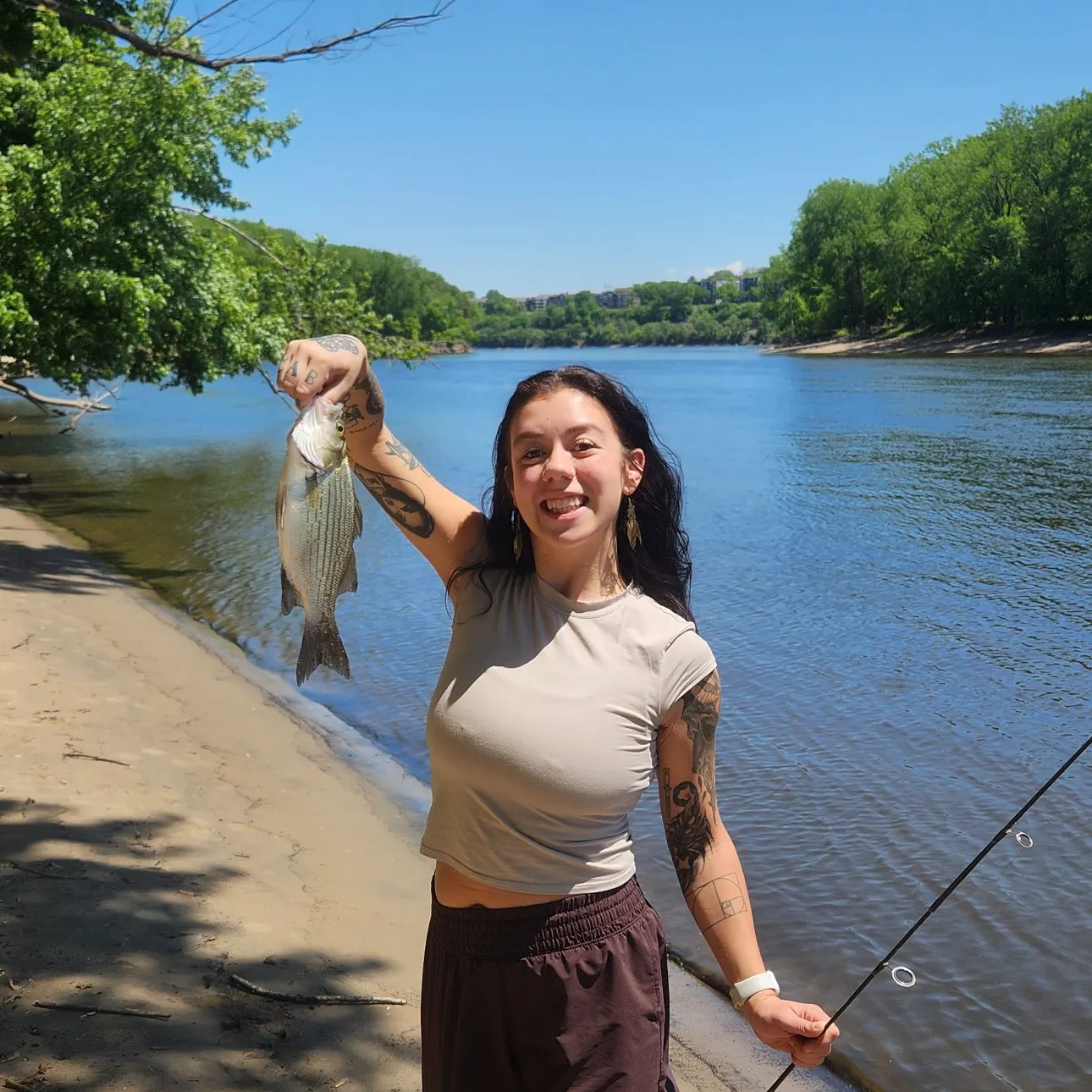 recently logged catches