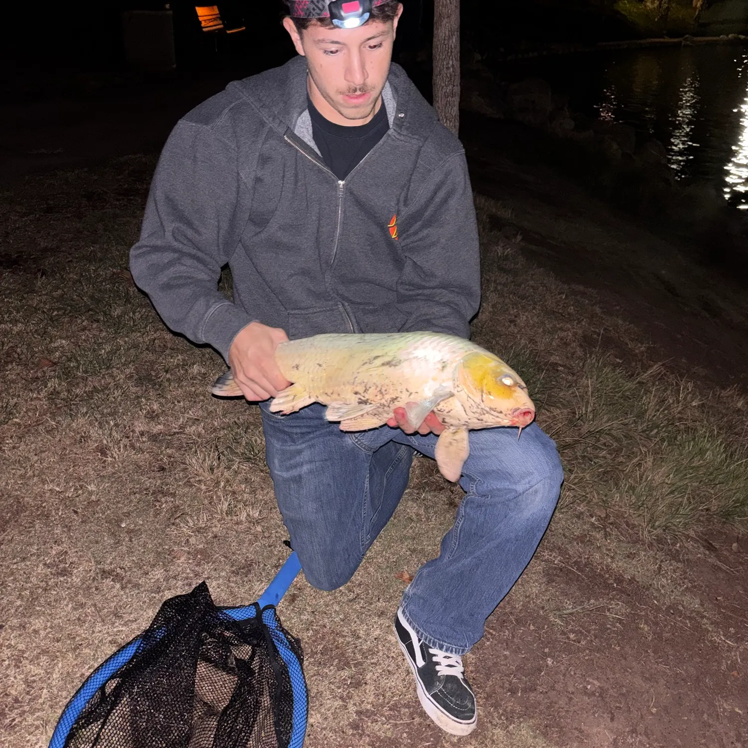 Common carp caught on Fishbrain
