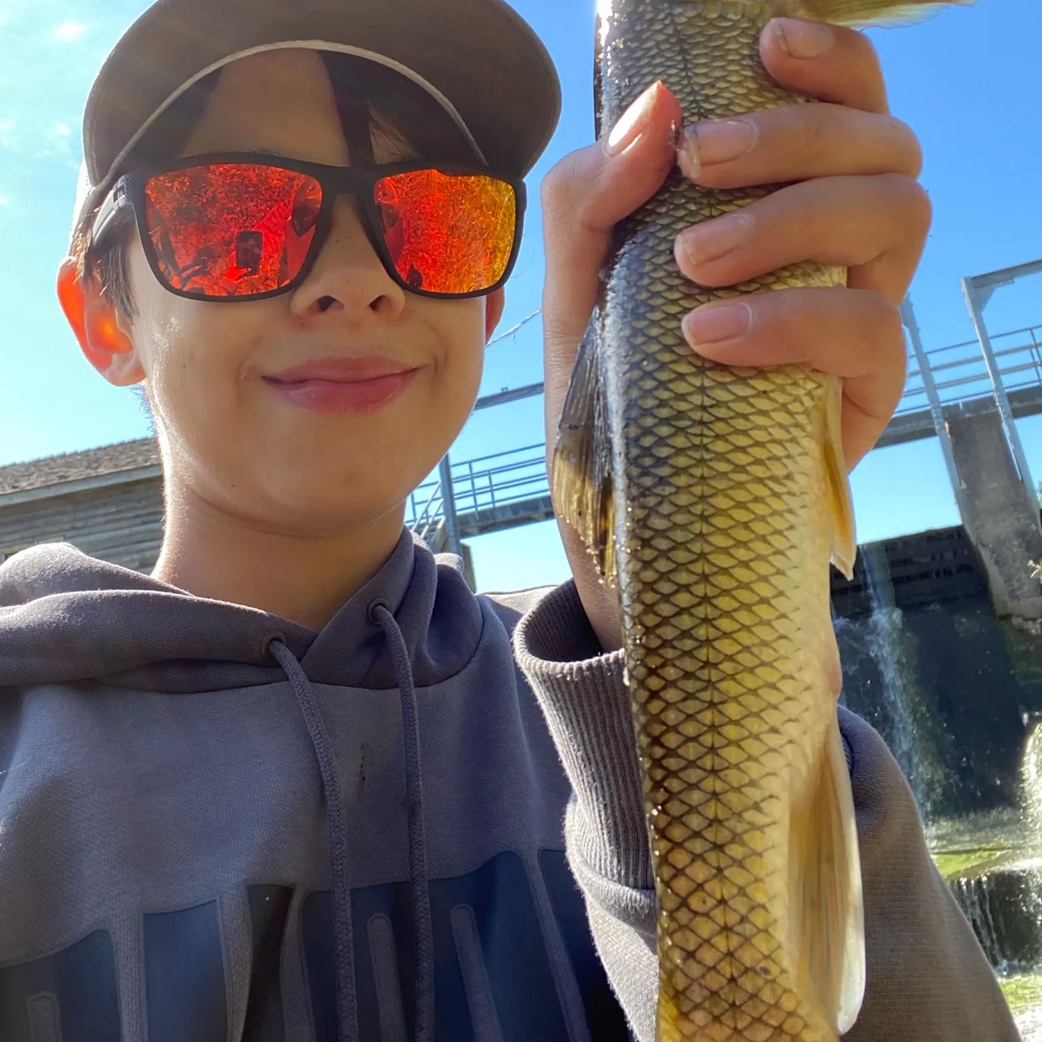 White sucker caught on Fishbrain