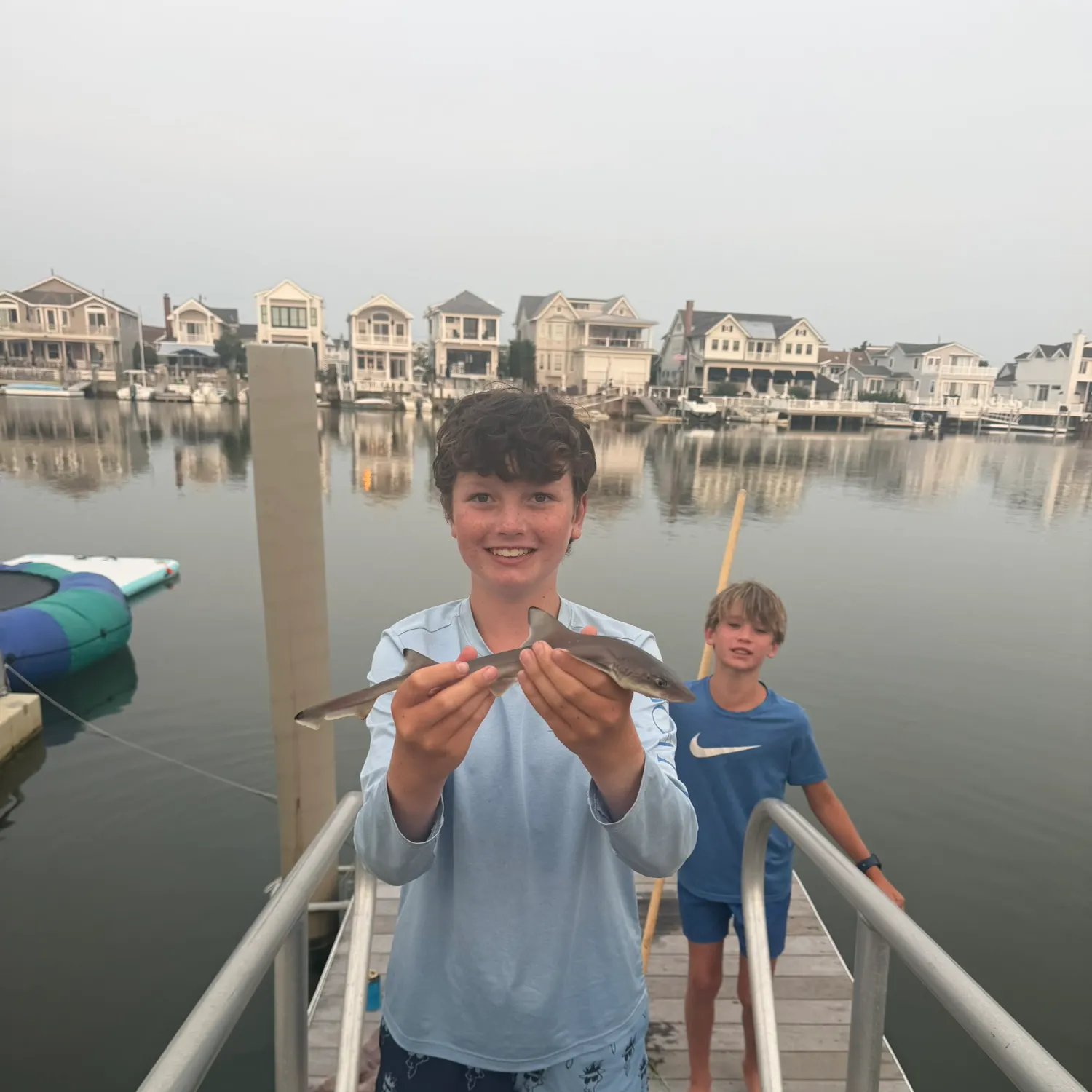 Dusky smooth-hound caught on Fishbrain