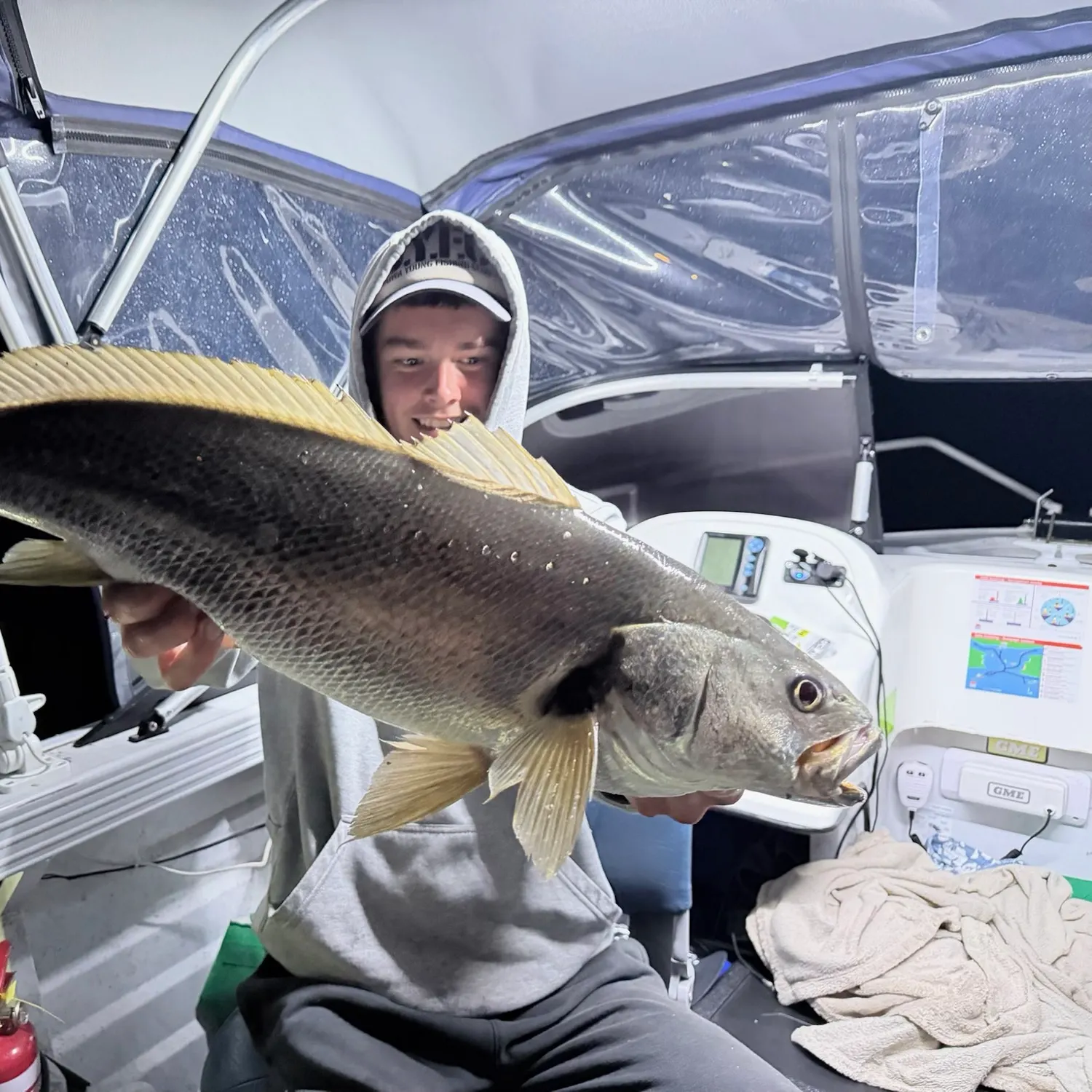 Japanese meagre caught on Fishbrain