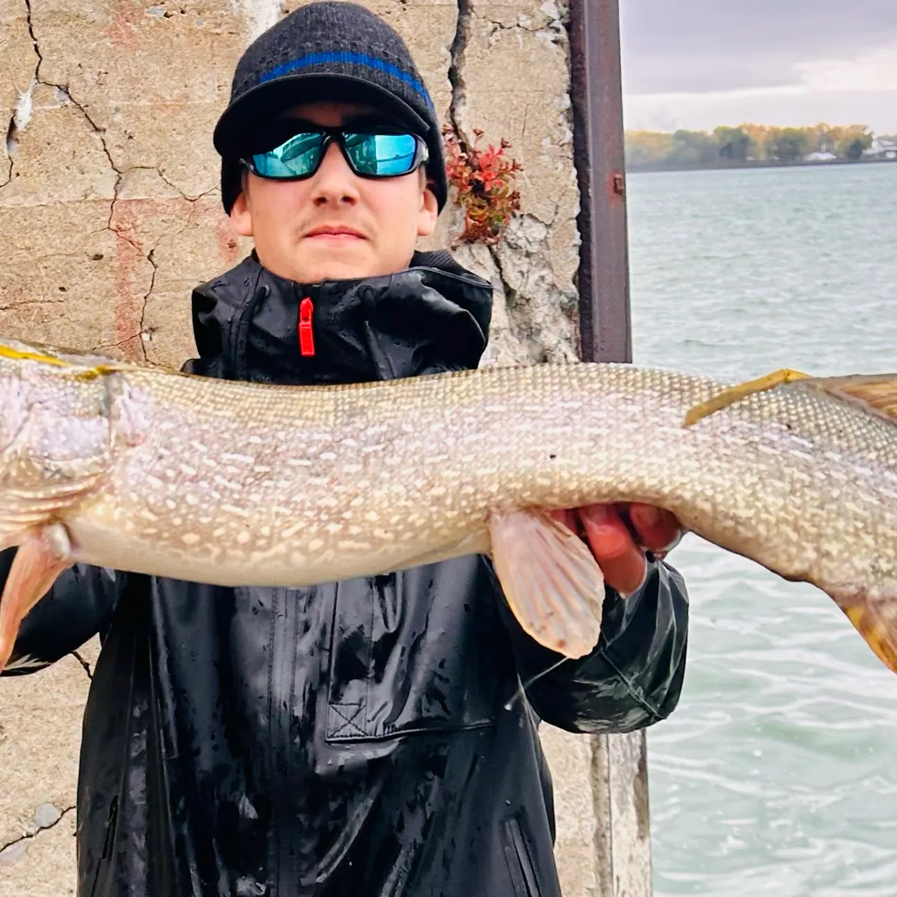 Northern pike caught on Fishbrain