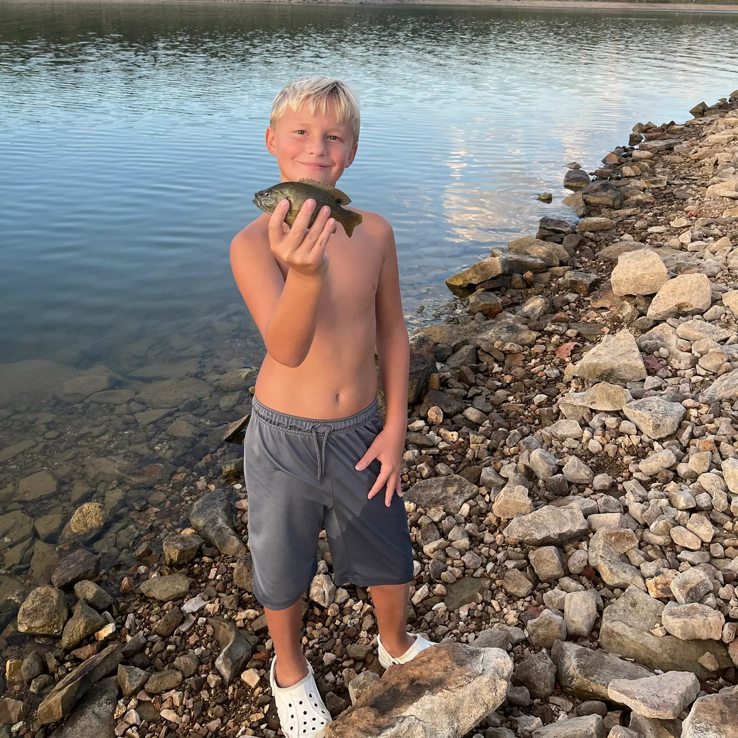 Greengill hybrid caught on Fishbrain