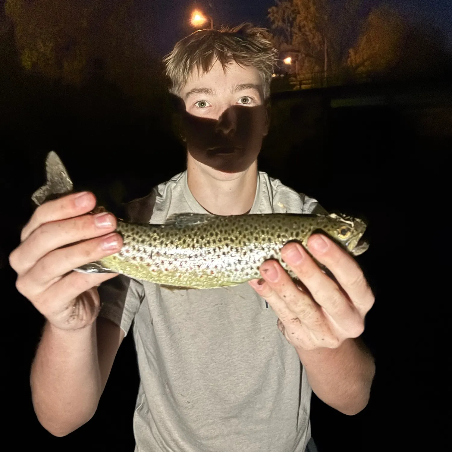 Brown trout caught on Fishbrain