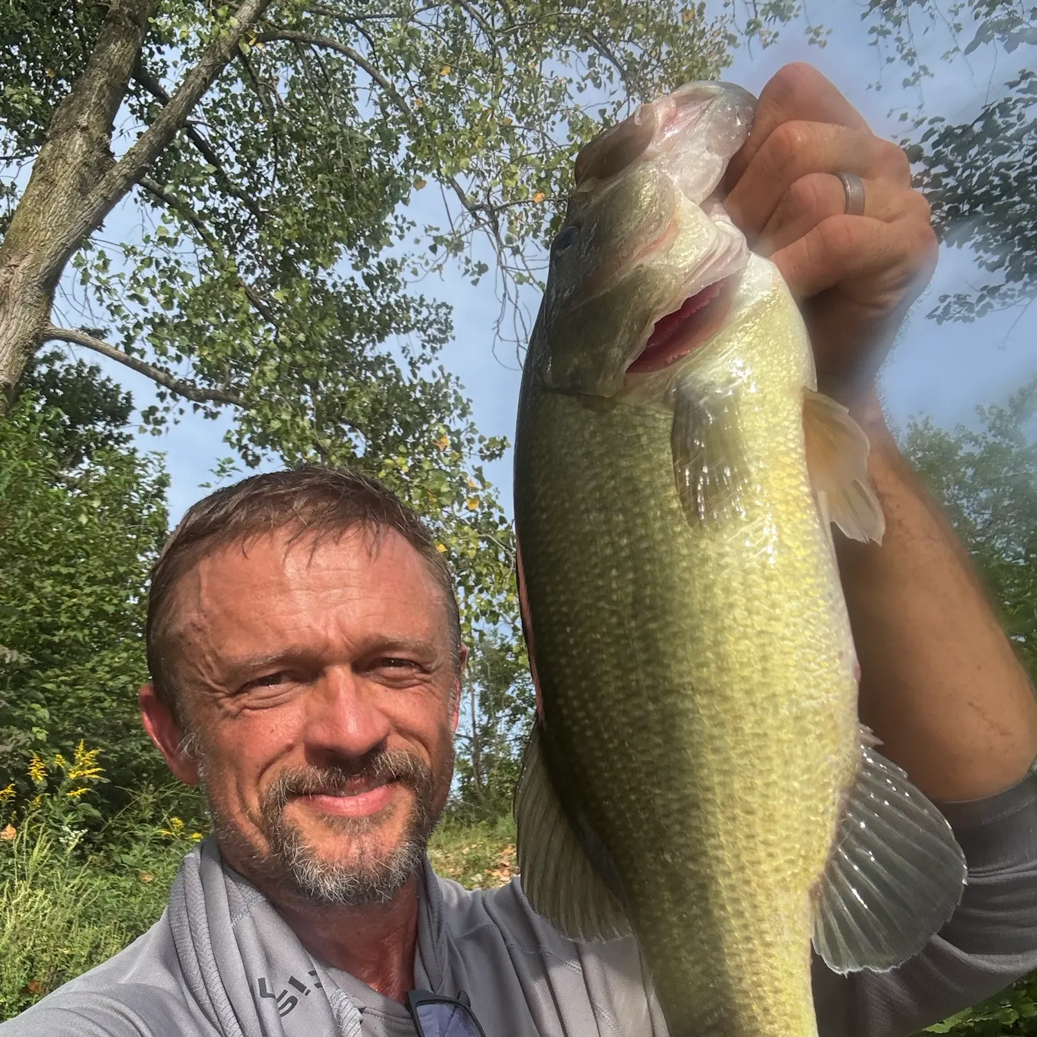 Largemouth bass caught on Fishbrain