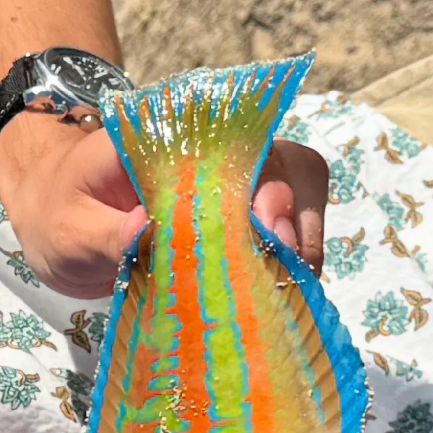 The most recent Christmas wrasse catches on Fishbrain