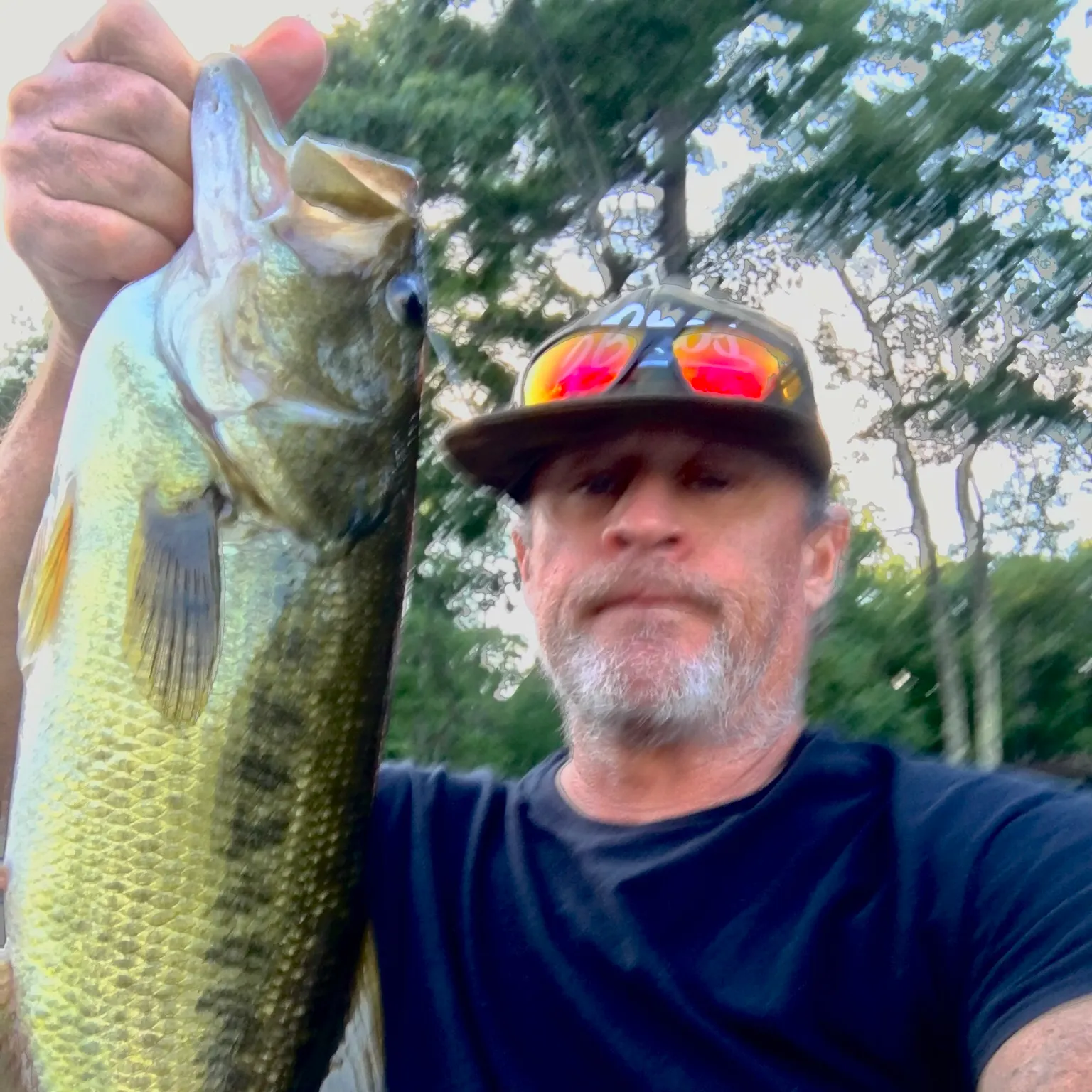 Largemouth bass caught on Fishbrain