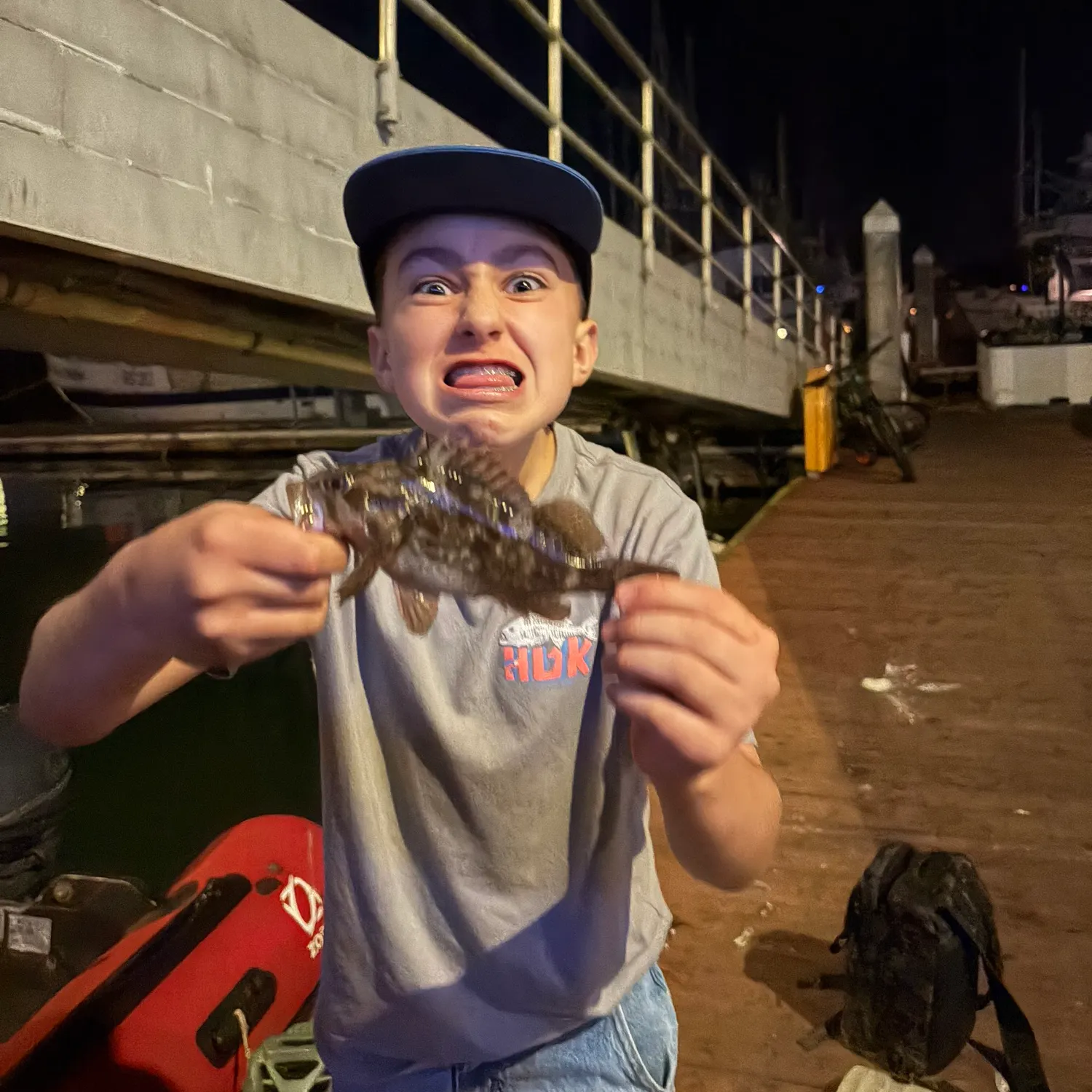 The most recent Grass rockfish catches on Fishbrain